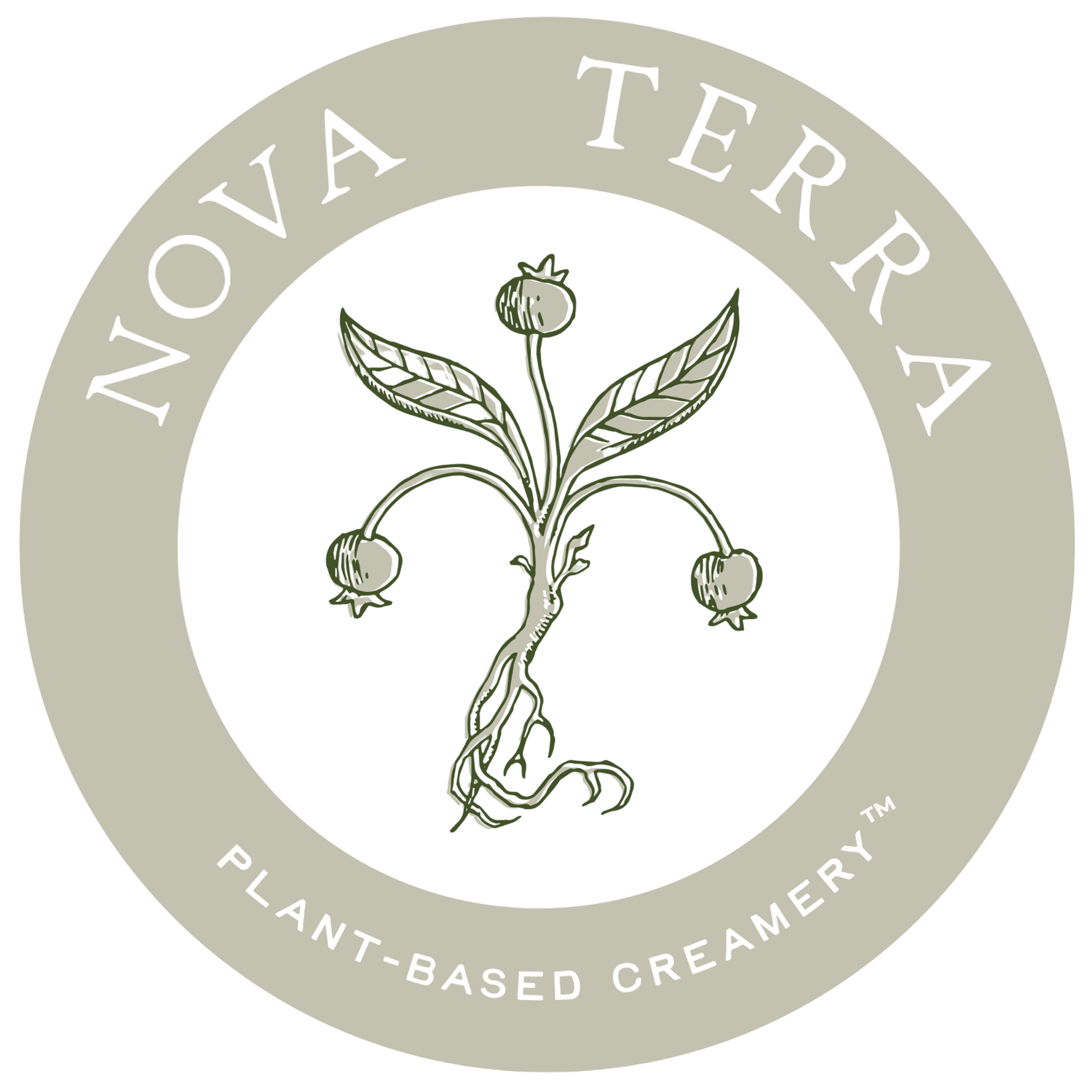 Nova Terra Creamery | Plant-Based Cheese Made with Love &amp; Compassion