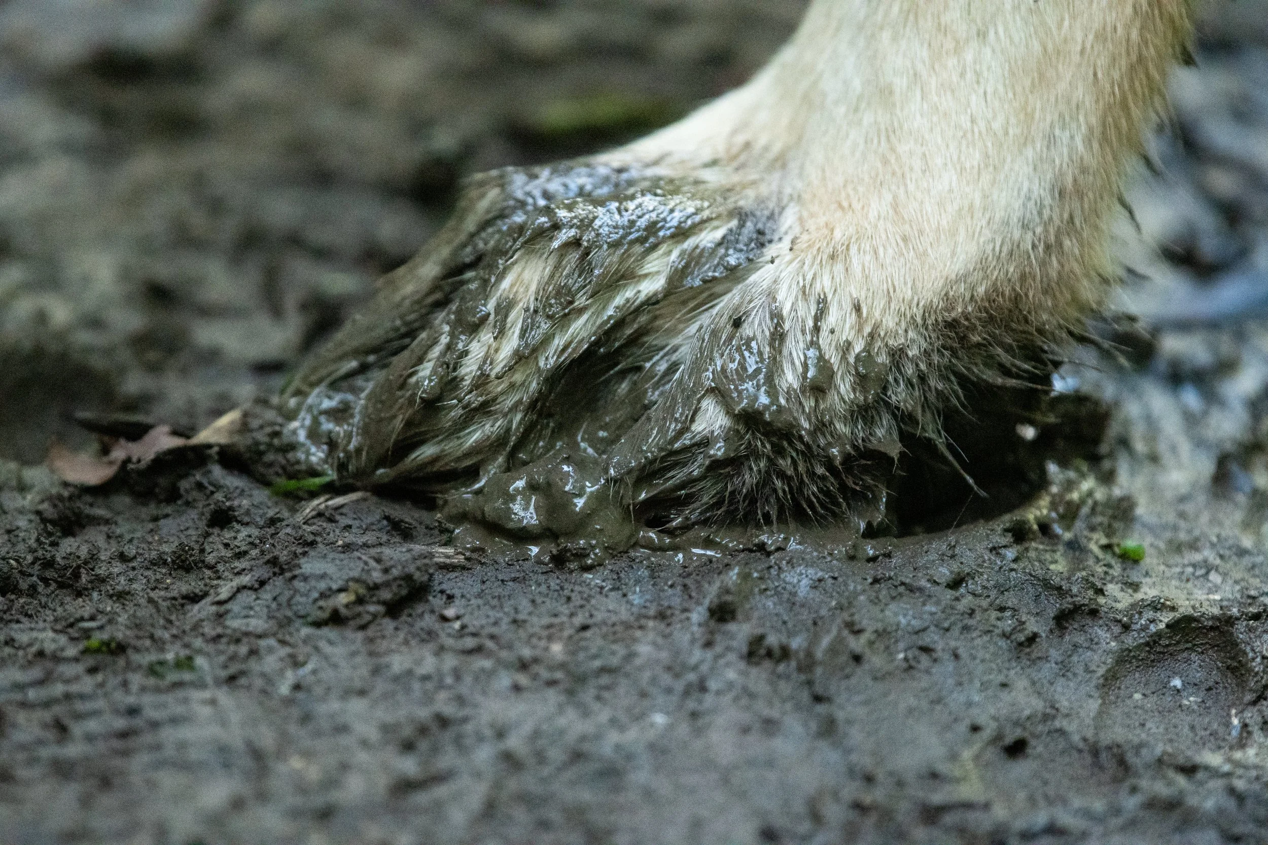 DSC_7845.jpg