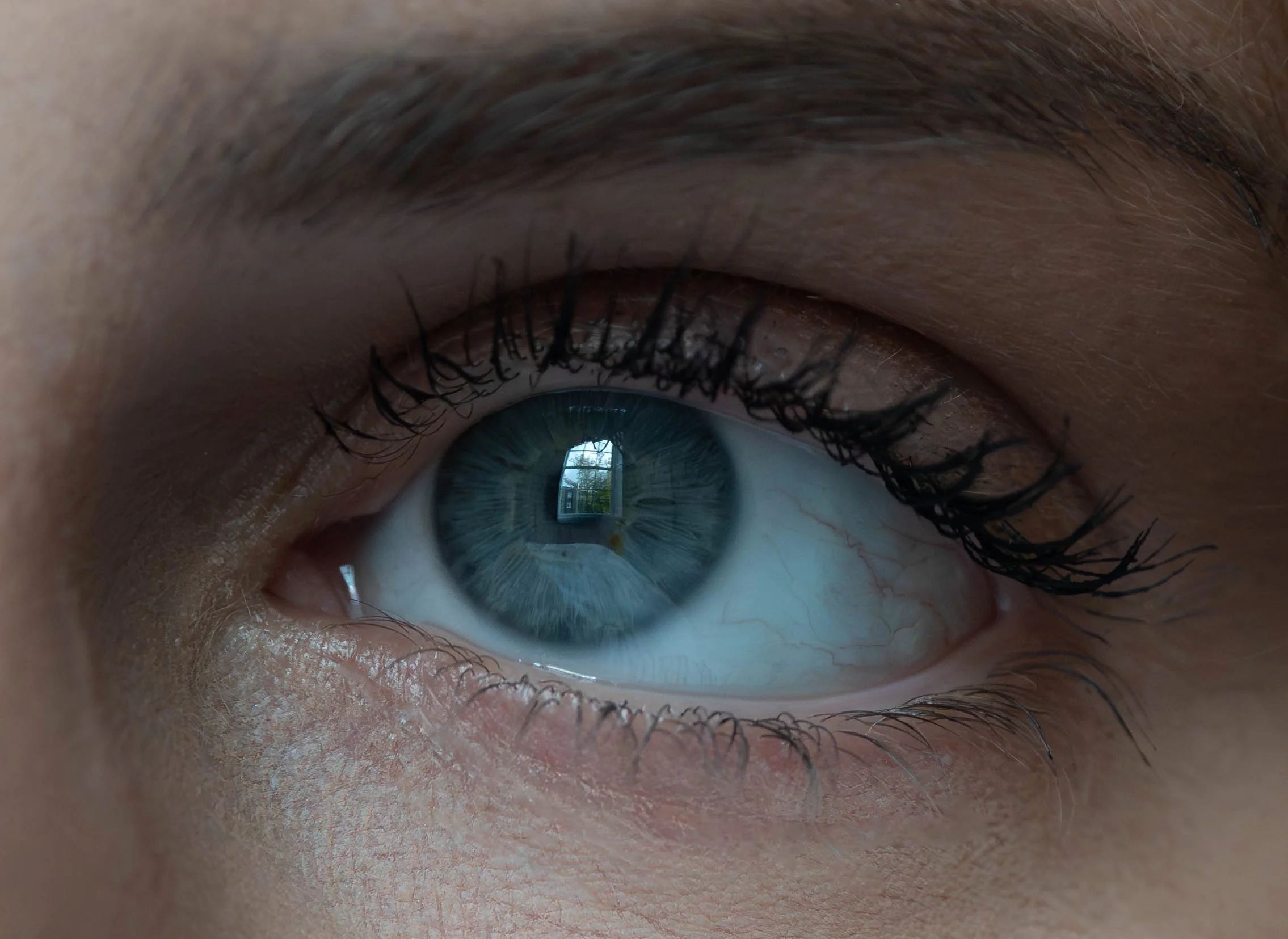 Georgia_Nov25_DSC_8600 ret.jpg