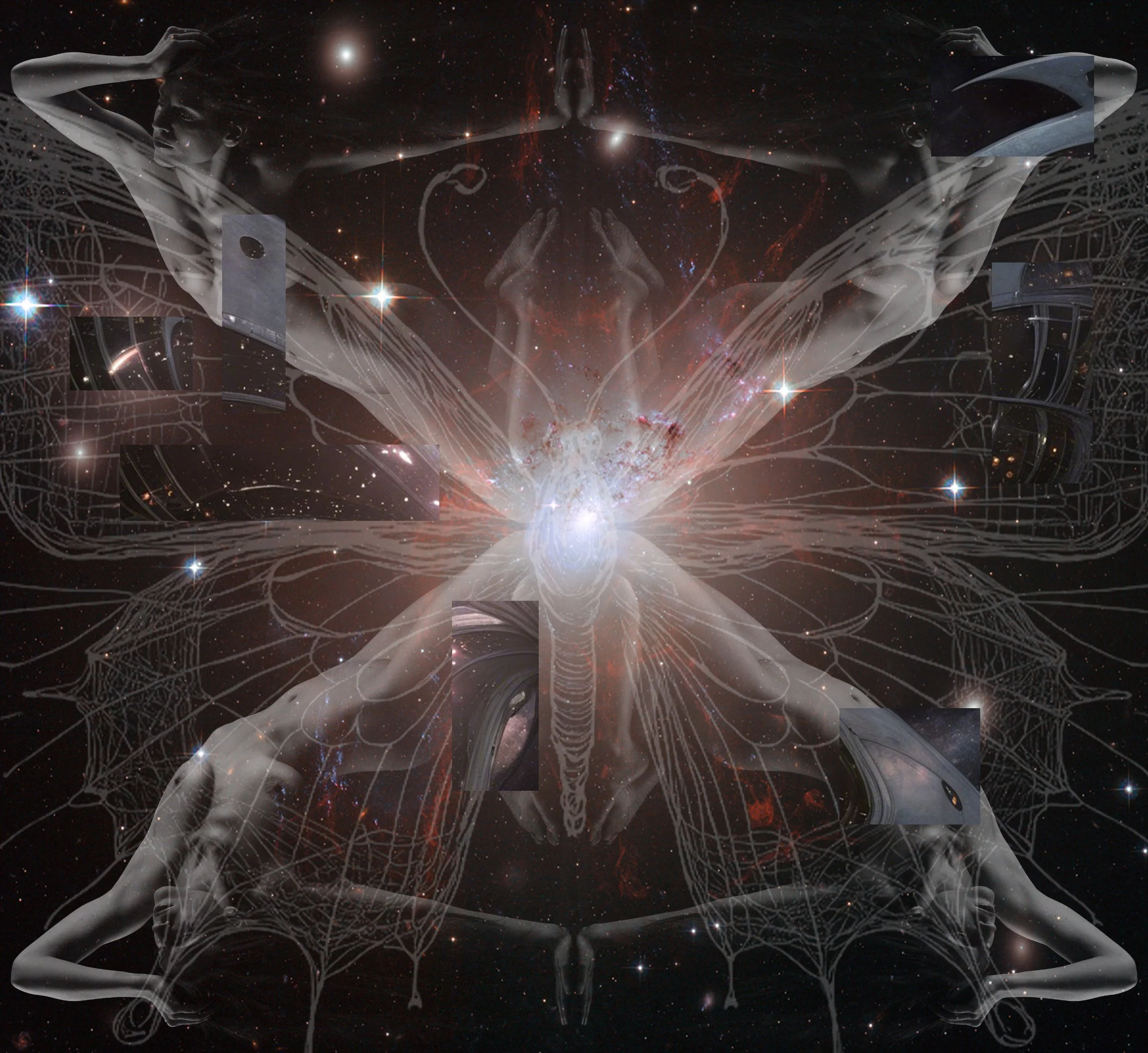 Irida's Butterfly Pt.2