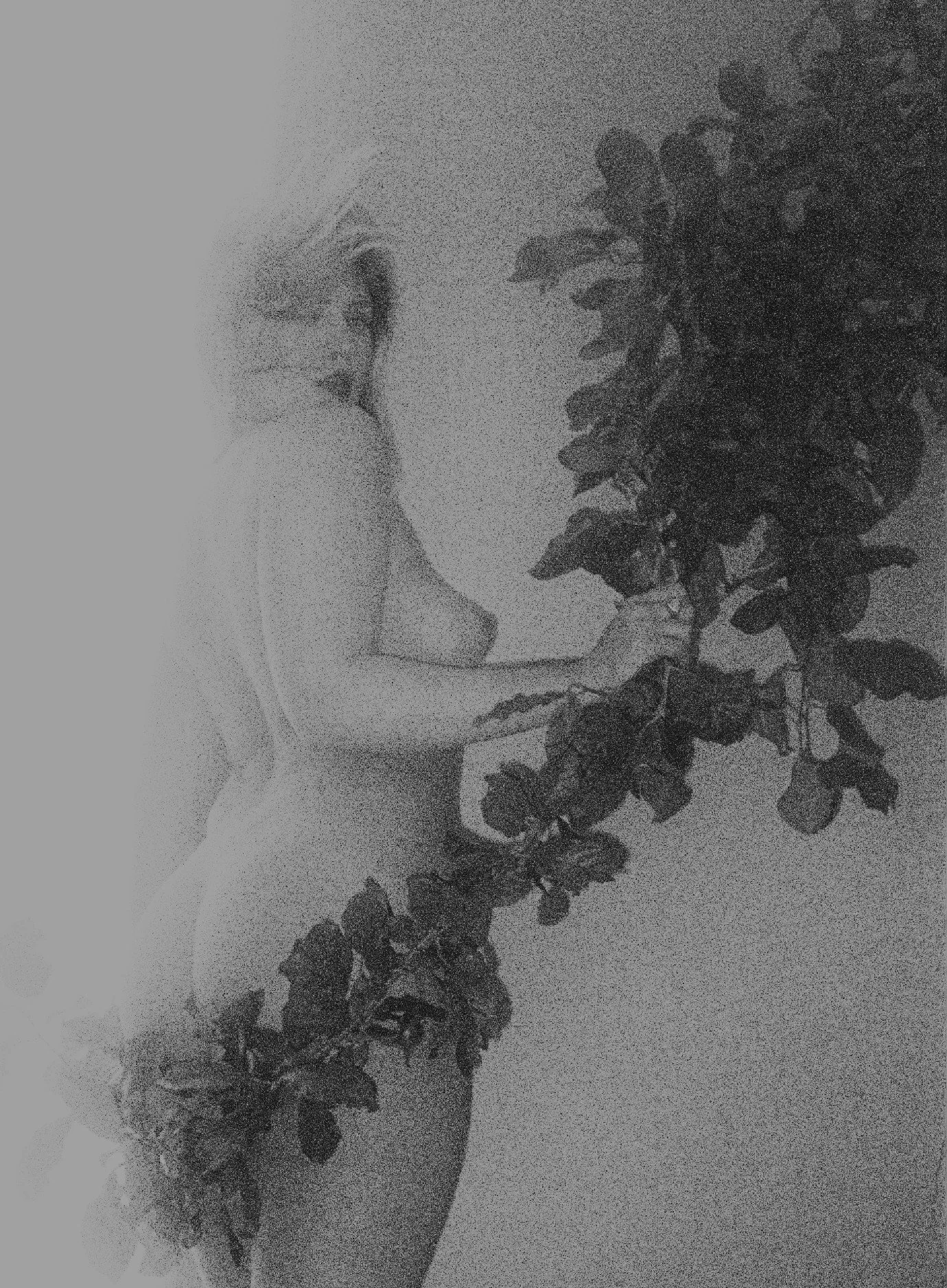 R1-06804-0016 ret mono crop.jpg