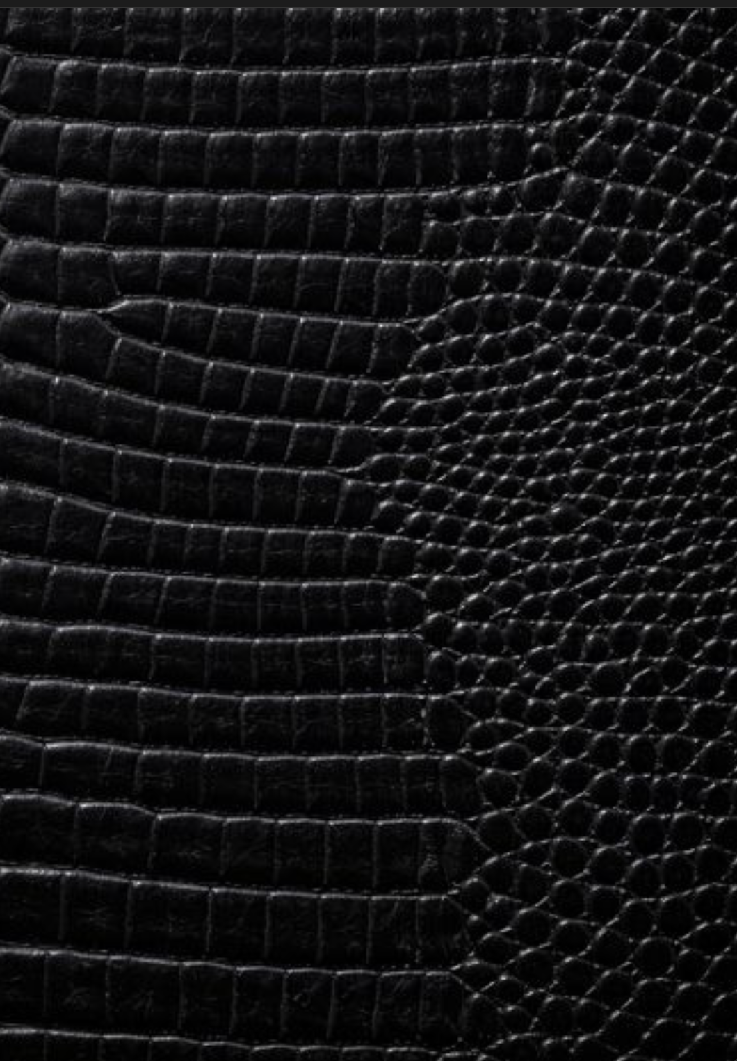 Black Croc Leather Print Sketchbook: for Drawing & Creative Expression