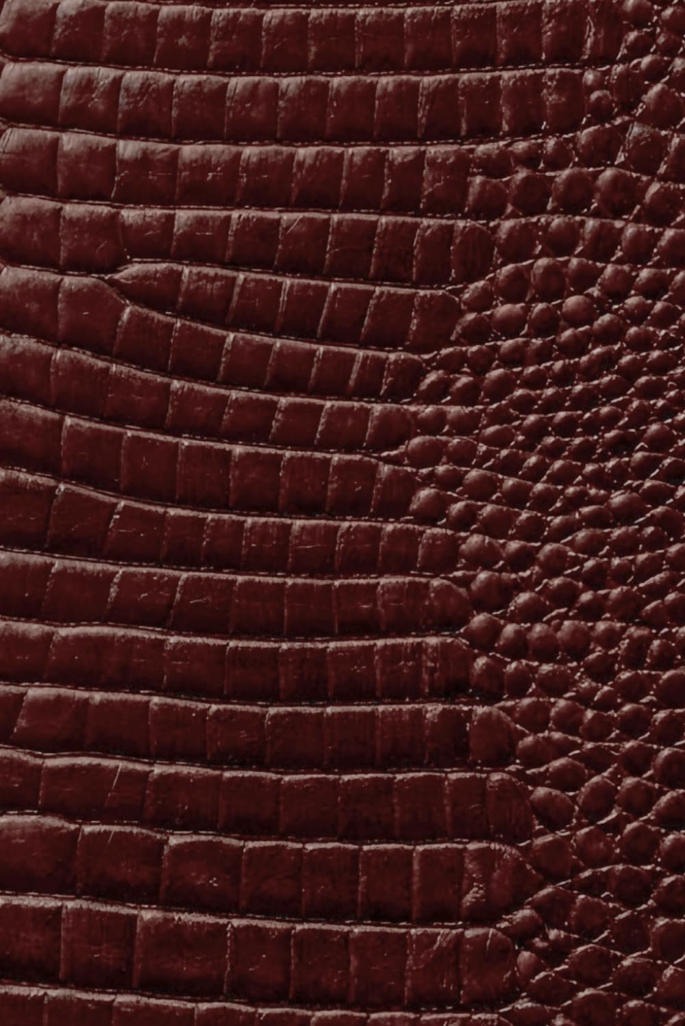 Luxx Notebook: for Notes, Journaling, and Writing (Brown Croc Edition)
