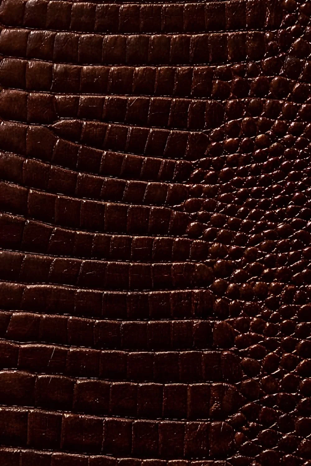 Luxx Notebook: for Notes, Journaling, and Writing (Glossy Espresso Croc Edition)