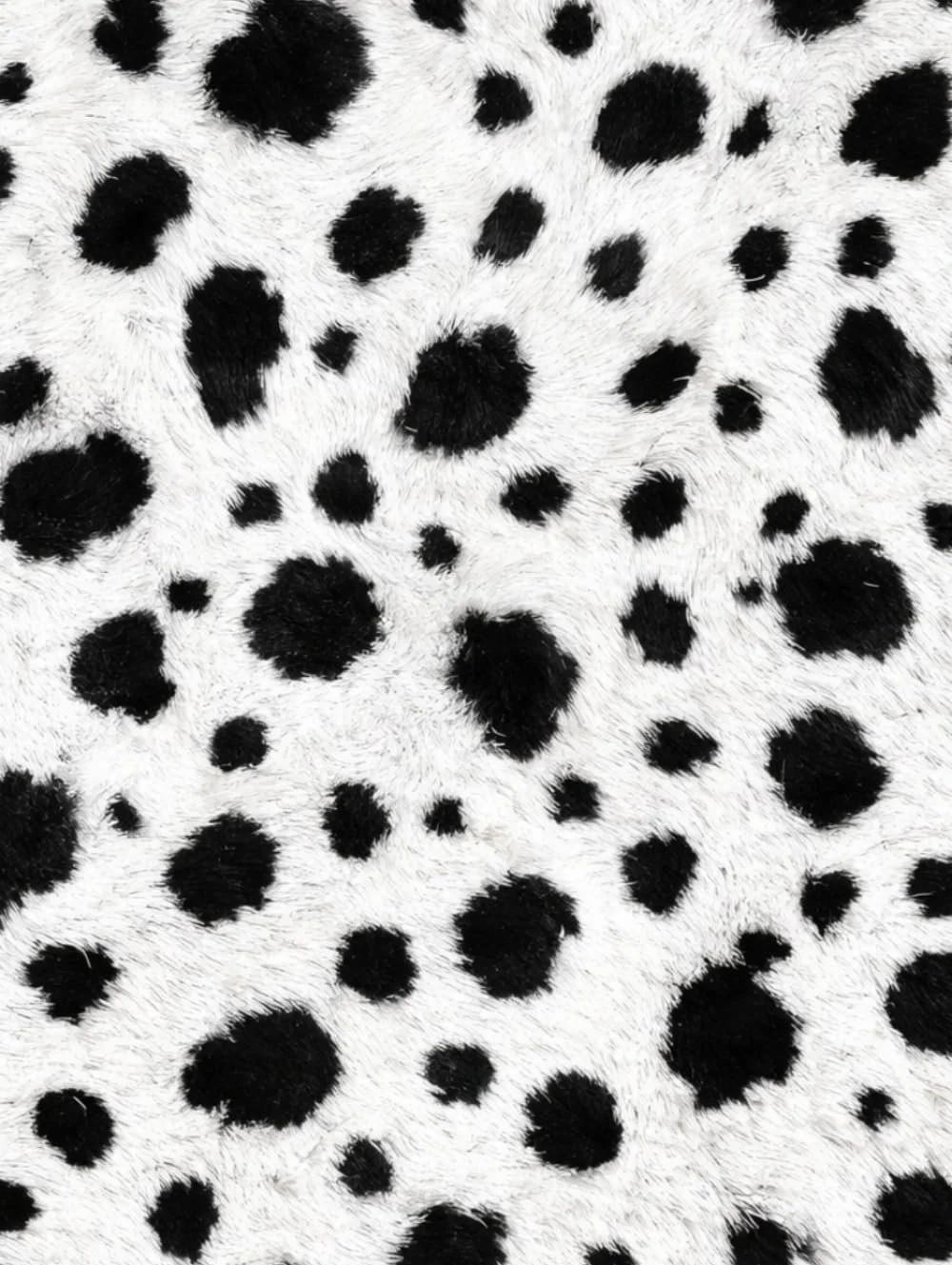 Dalmation Print Notebook: for Notes, Journaling, & Writing
