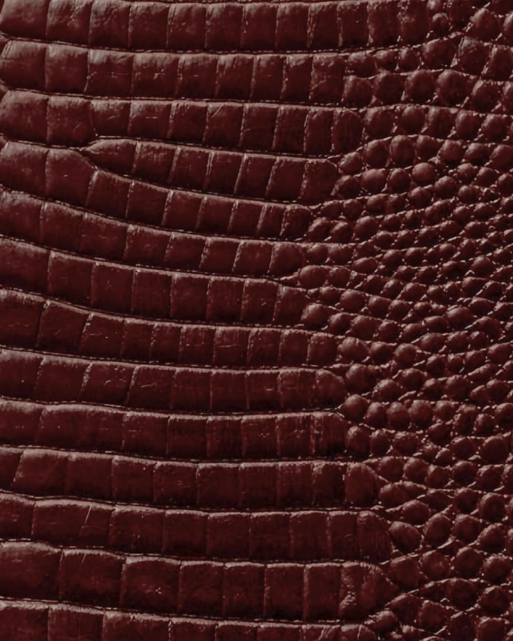 Brown Croc Leather Print Notebook: for Notes, Journaling, and Writing (Glossy Edition)