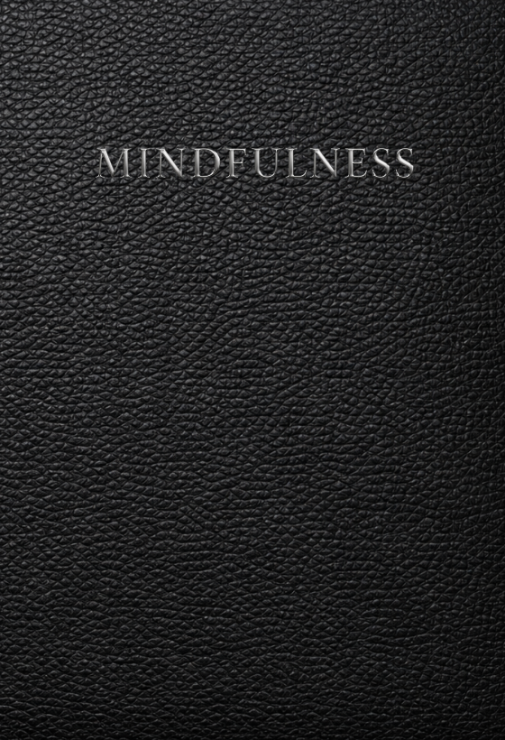 Mindfulness Journal and Workbook: A Structured System for Awareness, Focus, Clarity and Intentional Living