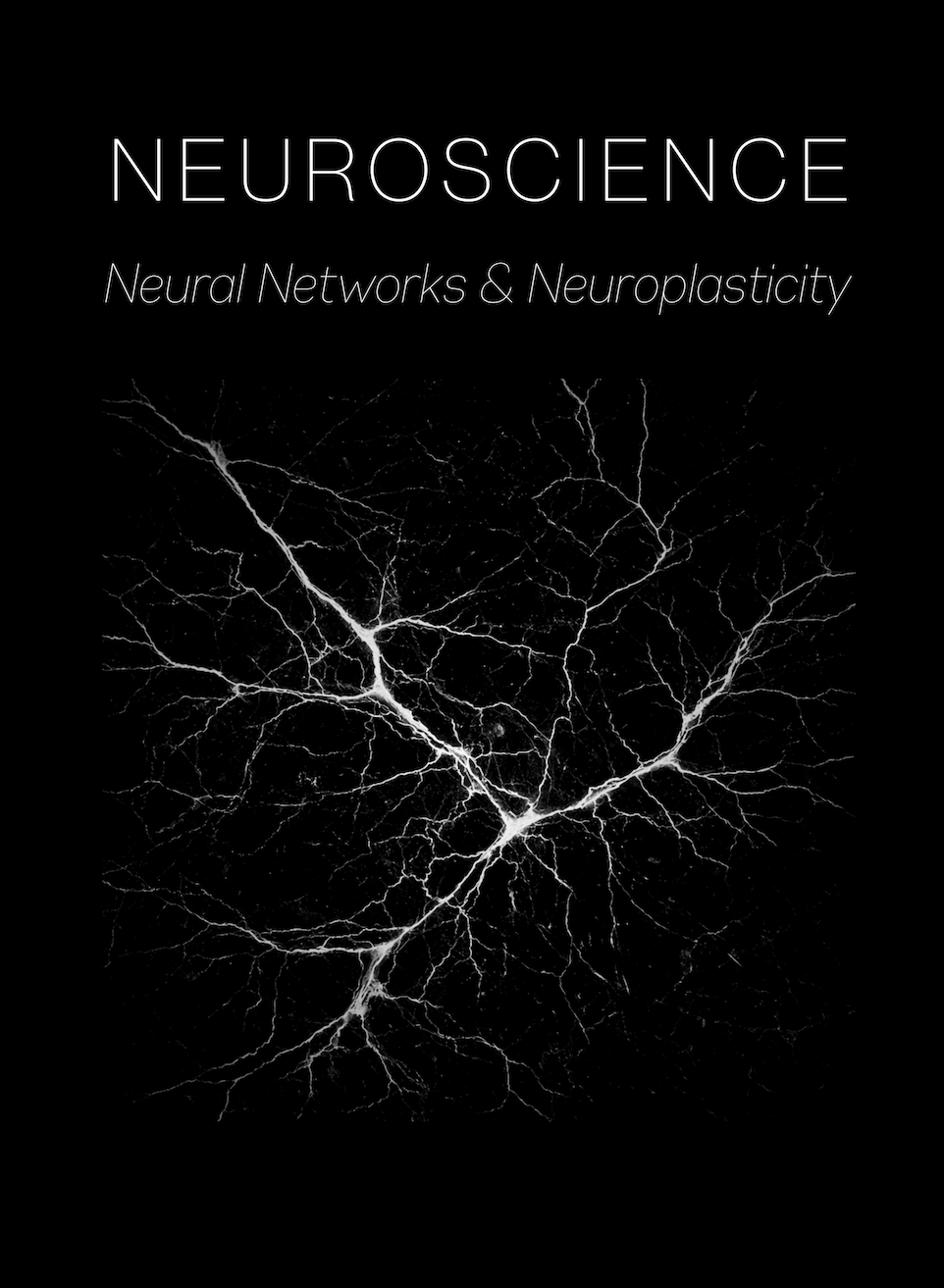 Neuroscience: Neural Networks & Neuroplasticity