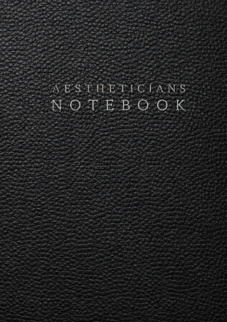 Aestheticians Notebook: A Client Record Book for Appointments, Skin Assessments, Treatments, Products, Payments and Notes