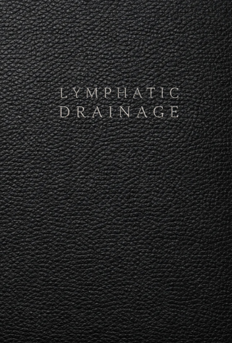 Lymphatic Drainage Massage Therapist Notebook: A Documentation System for Client Information, Lymphatic Assessment, Treatment Planning, Body Mapping and Follow Up Care