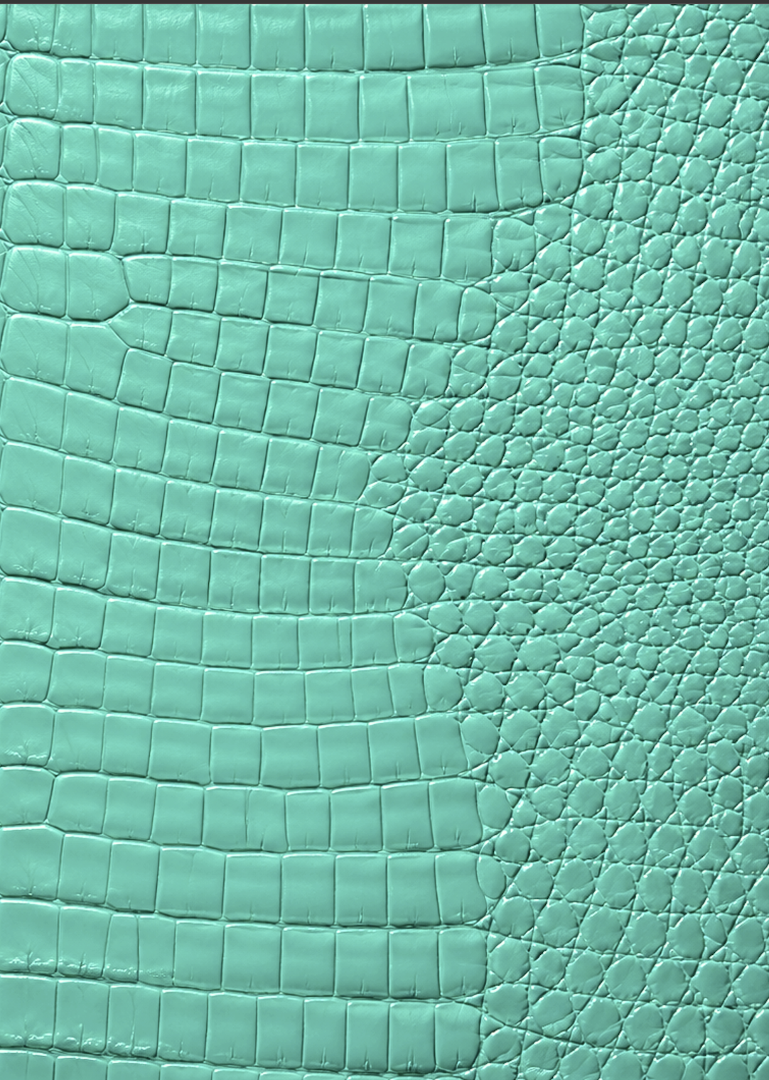 Turquoise Croc Leather Print Notebook: for Notes, Journaling, and Writing
