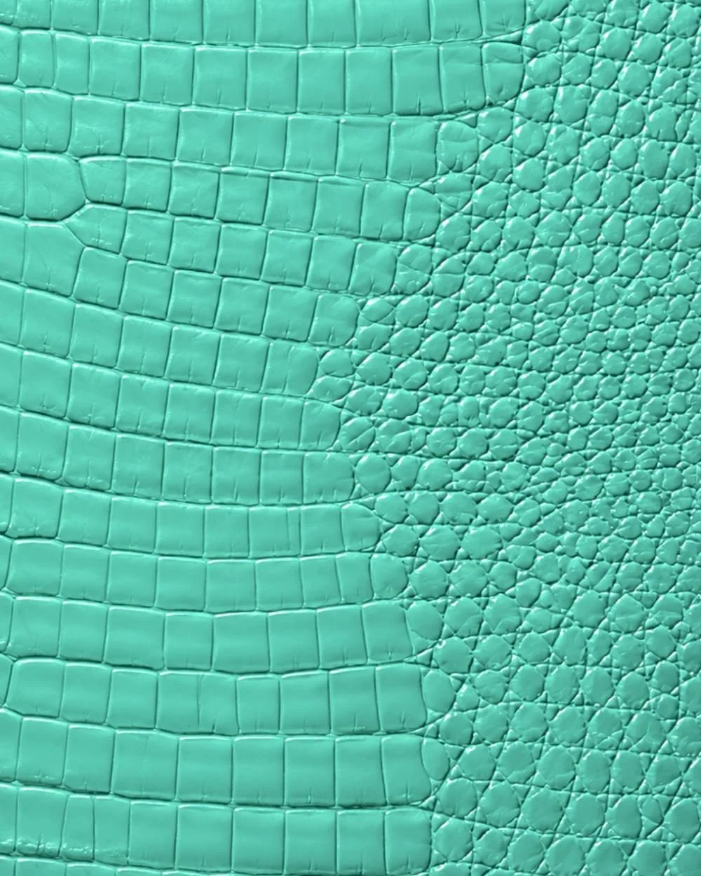 Turquoise Croc Leather Print Notebook: for Notes, Journaling, and Writing (Glossy Edition)