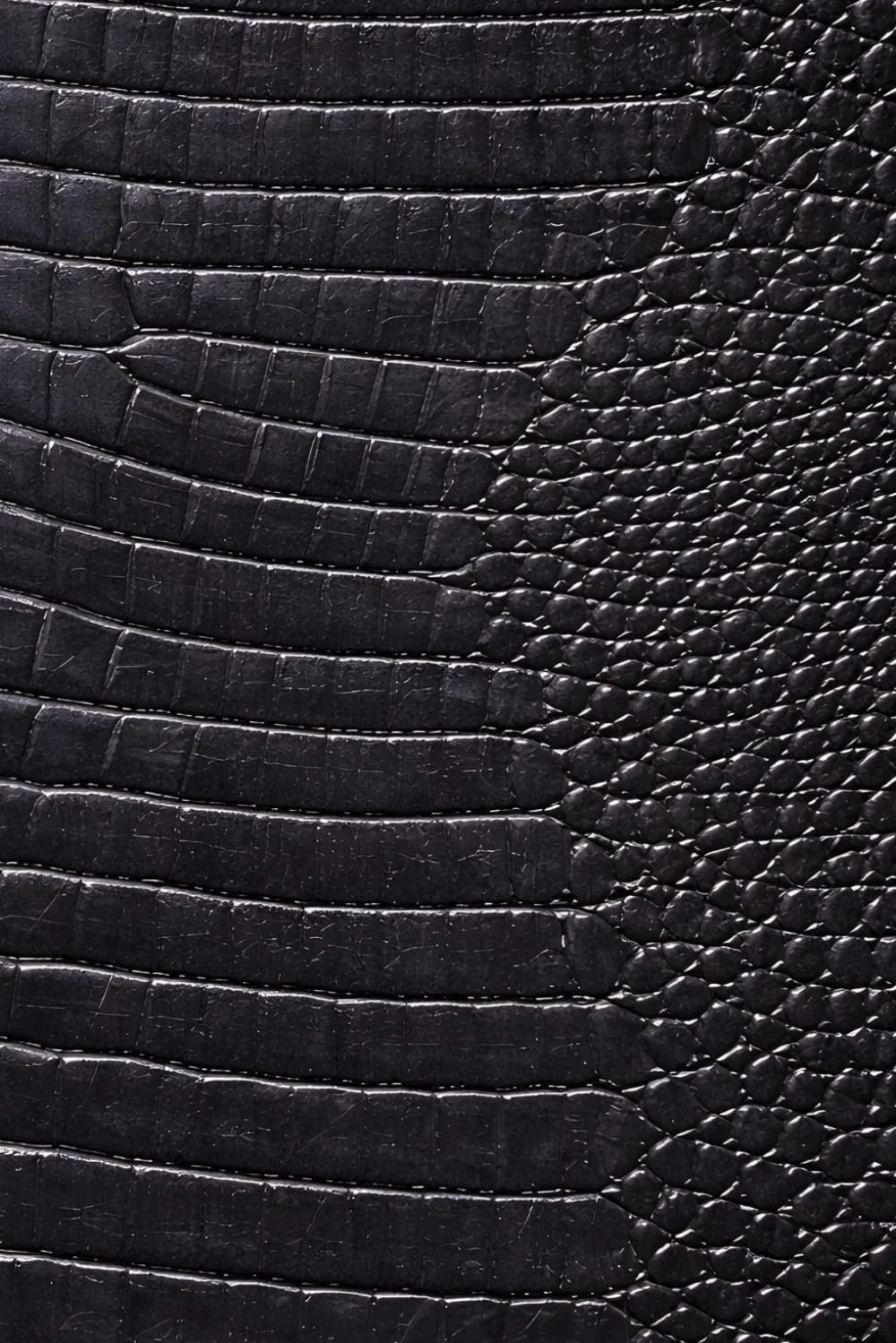 Luxx Notebook: for Notes, Journaling, and Writing (Charcoal Croc Edition)