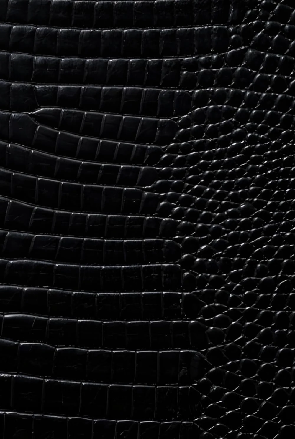 Luxx Notebook: for Notes, Journaling, and Writing (Glossy Black Croc Edition)