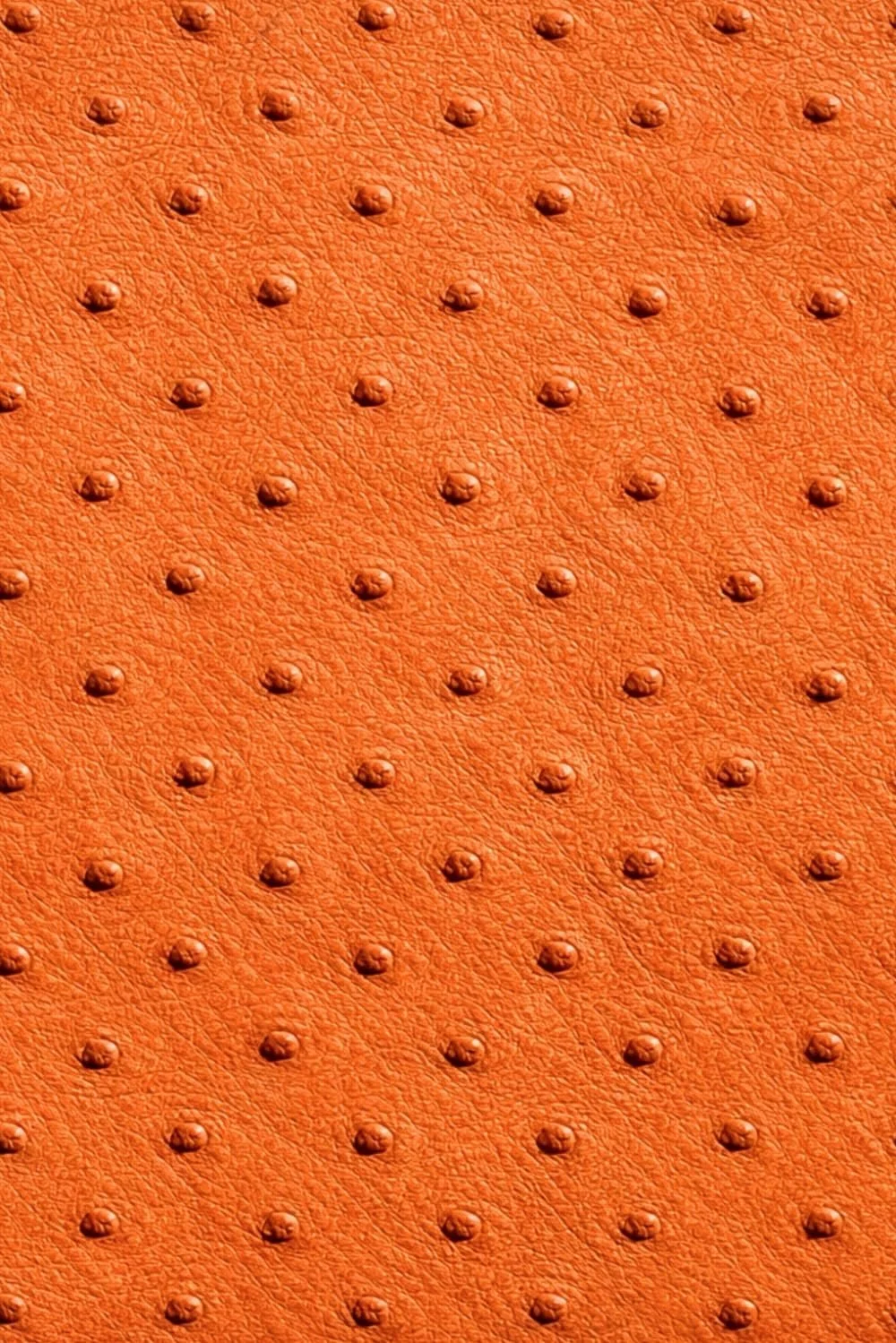 Luxx Sketchbook: for Drawing and Creative Expression (Orange Ostrich Leather Print Edition)