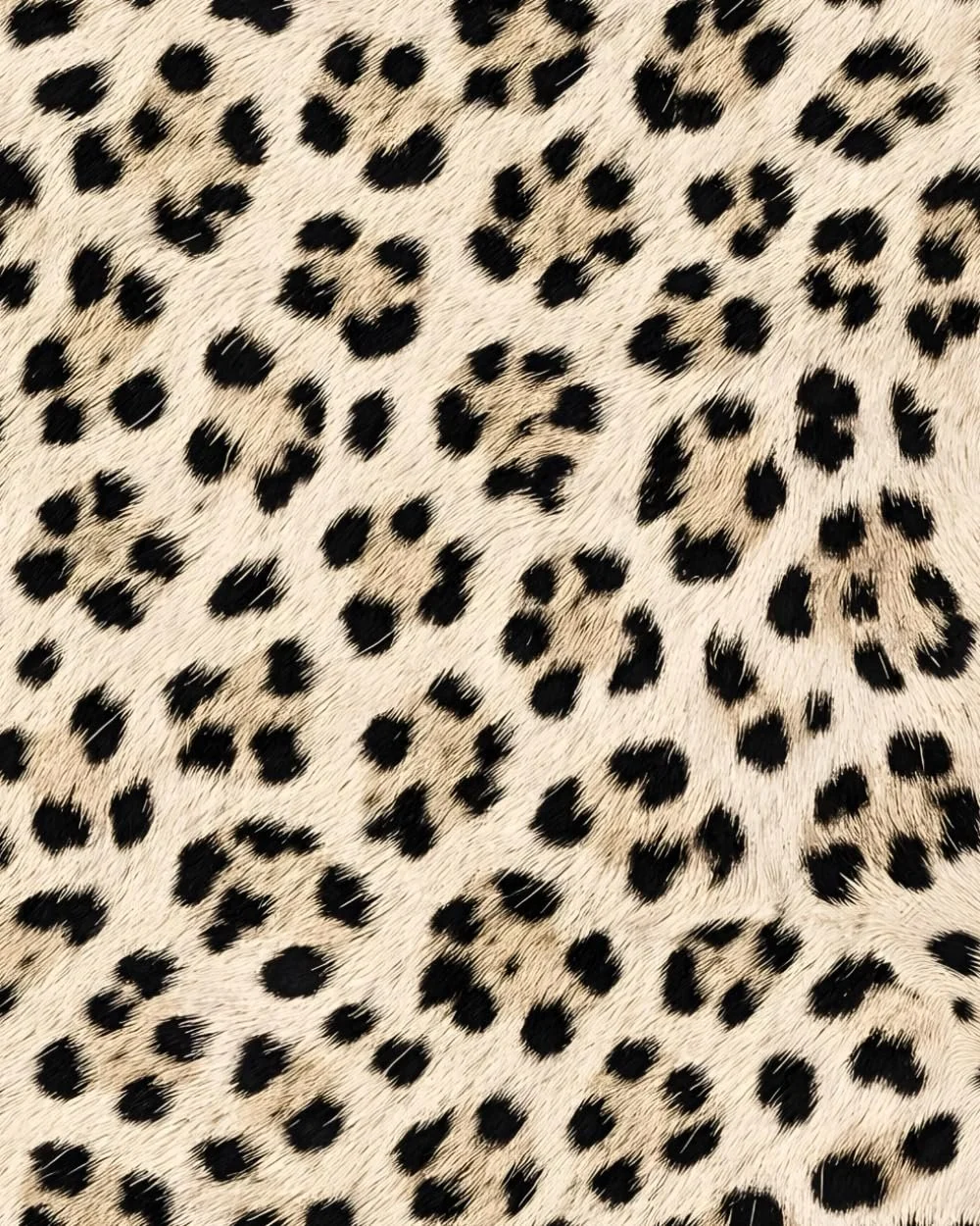 Leopard Print Notebook: for Notes, Journaling, & Writing