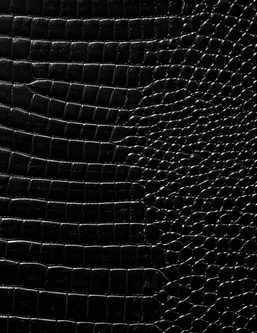 Black Croc Leather Print Notebook: for Notes, Journaling, and Writing (Glossy Edition)