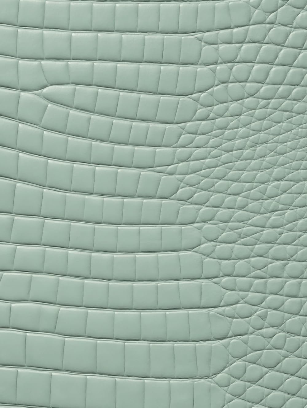 Sage Croc Leather Print Notebook: for Notes, Journaling, and Writing