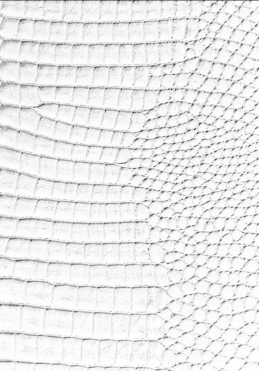 Luxx 2026 Planner: Vision Planning, Important Dates, & Weekly Structure (White Croc Print Edition) 