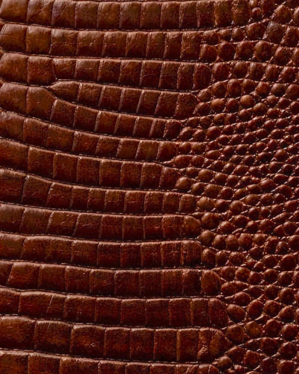 Mocha Croc Leather Print Notebook: for Notes, Journaling, and Writing
