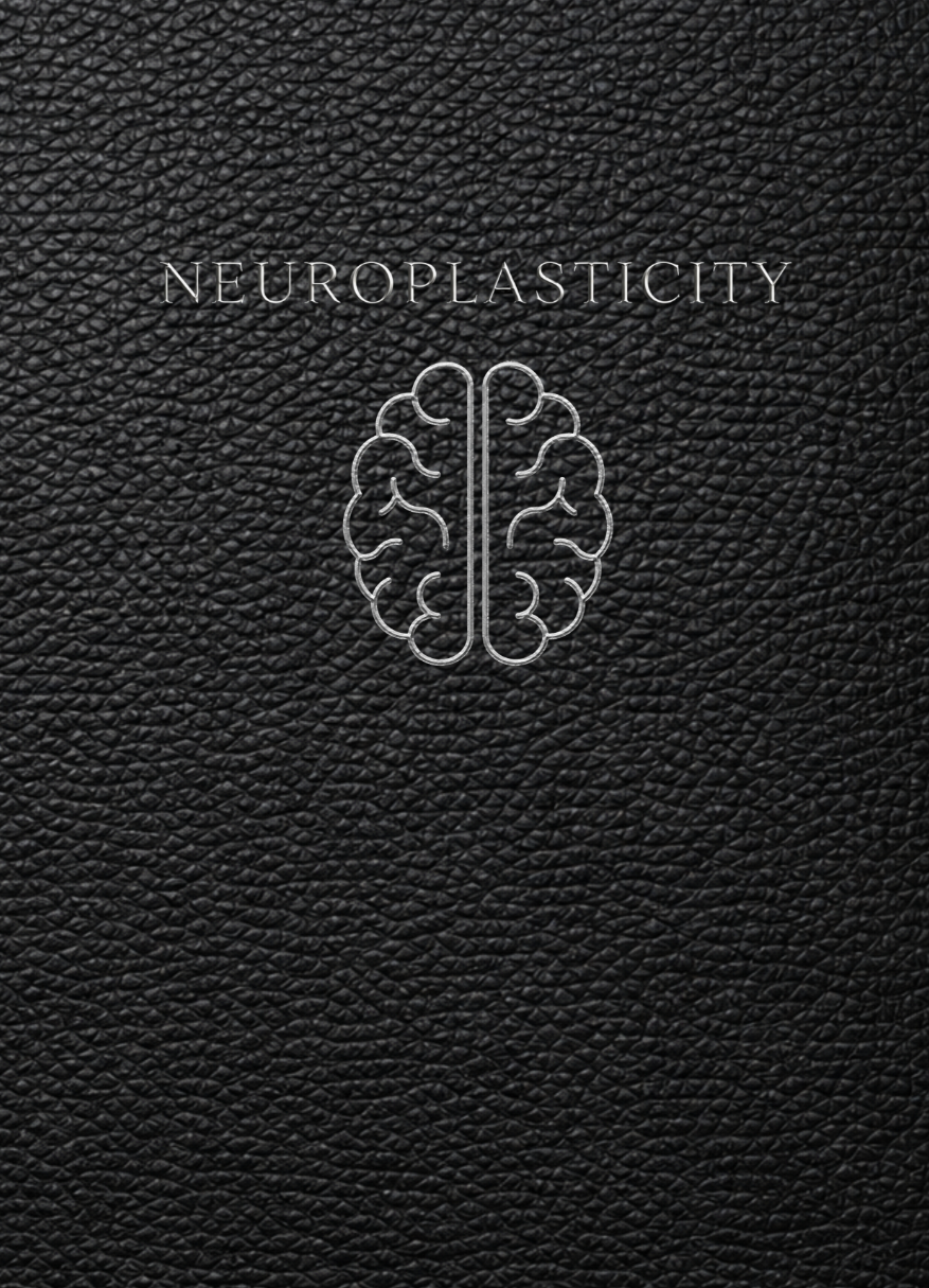 Neuroplasticity Journal and Workbook: A Structured System for Brain Health, Improving Learning, Brain Exercises, and Skill Development