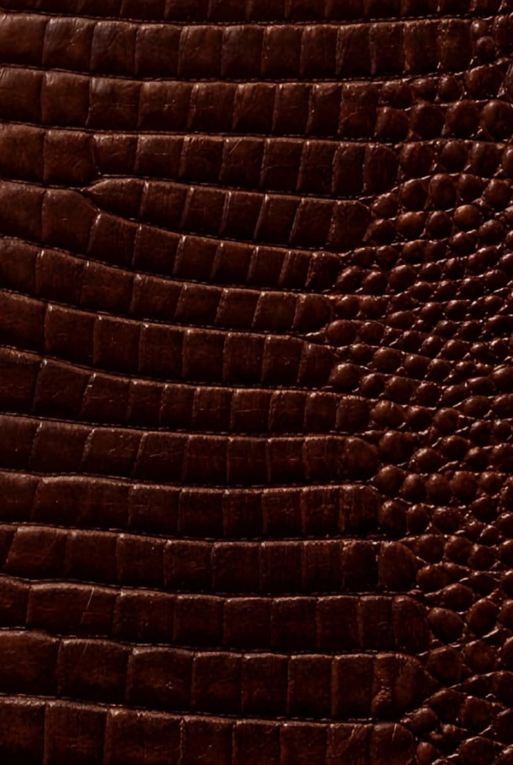 Luxx Notebook: for Notes, Journaling, and Writing (Glossy Brown Croc Edition)