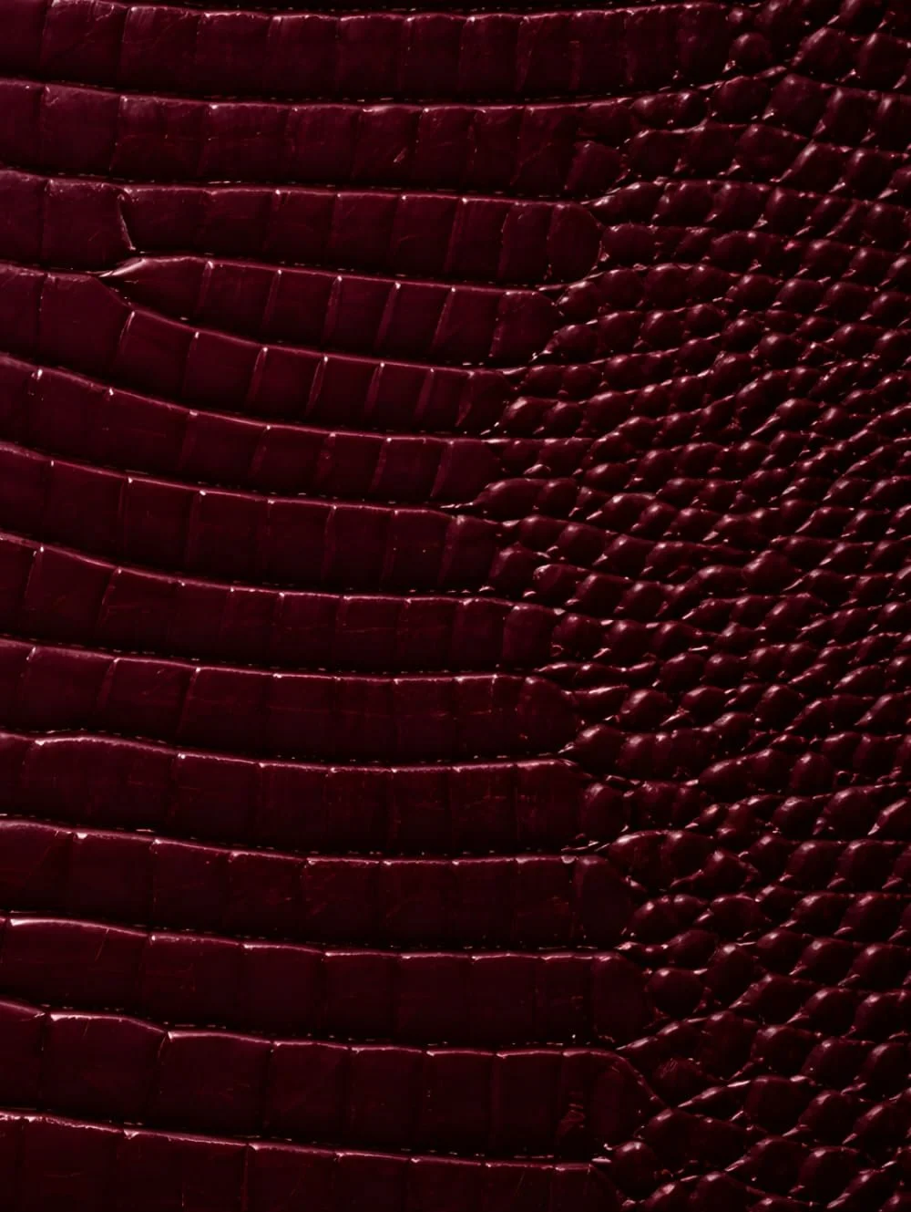 Black Cherry Croc Leather Print Notebook: for Notes, Journaling, and Writing (Glossy Edition)