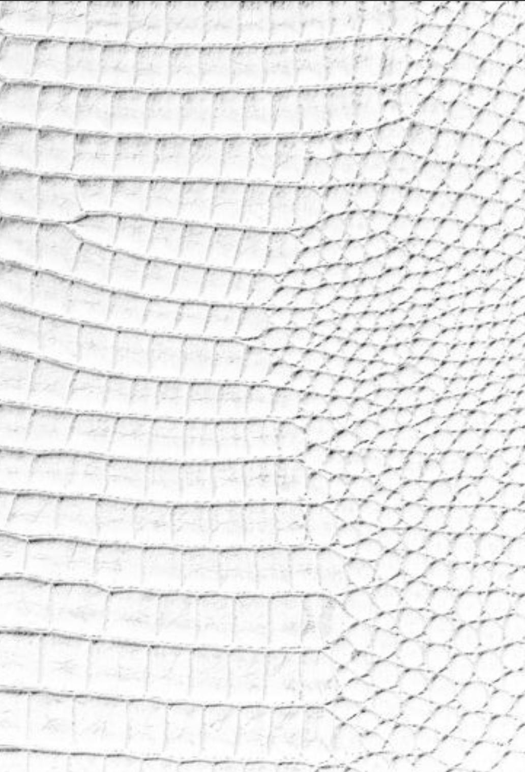 White Croc Leather Print Notebook: for Notes, Journaling, & Writing