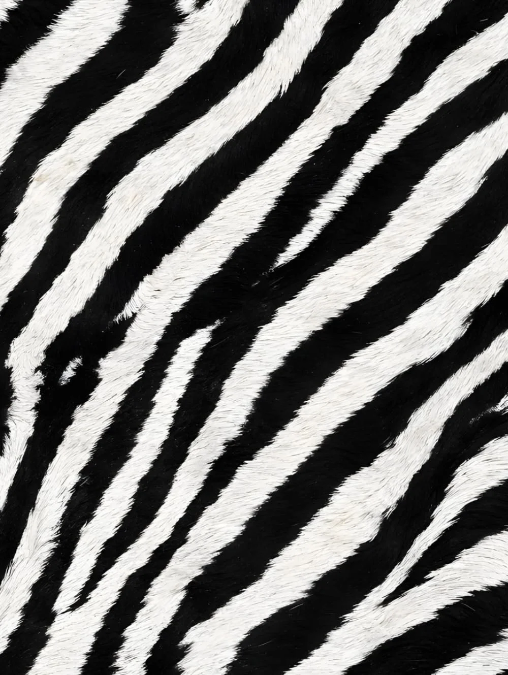 Zebra Print Notebook: for Notes, Journaling, & Writing