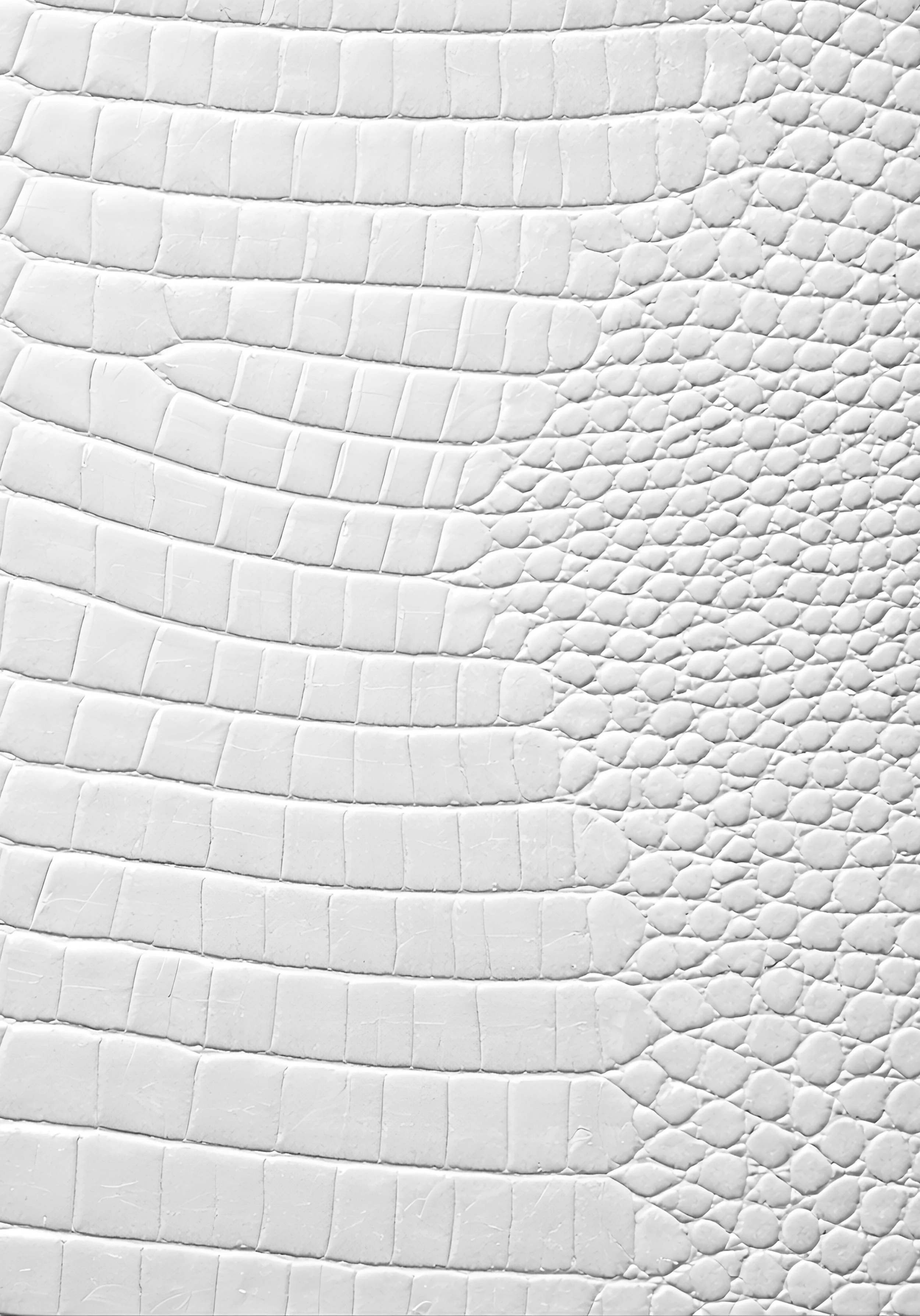 Luxx 2026 Planner: Vision Planning, Important Dates, & Weekly Structure (White Croc Print Edition)