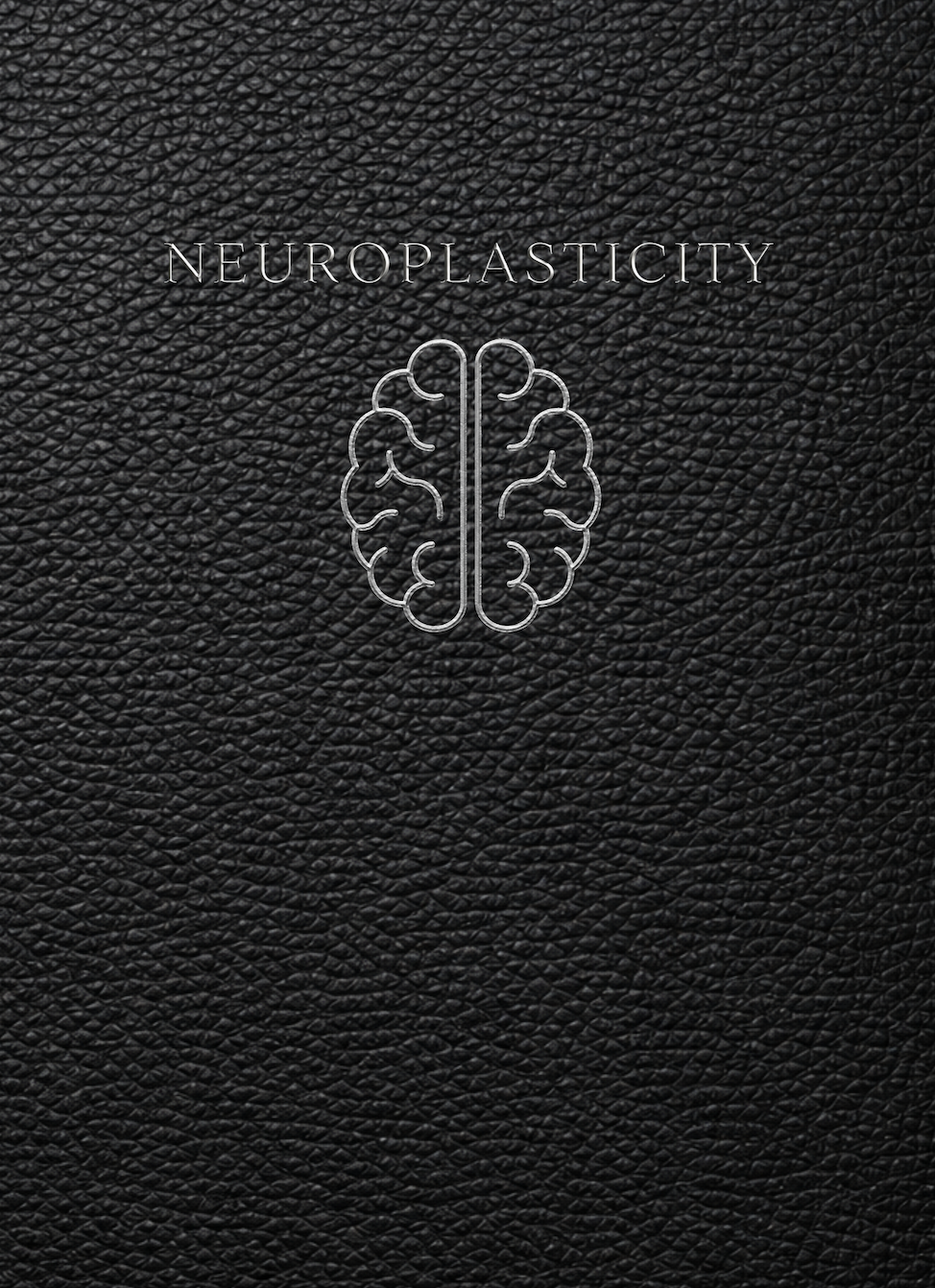 Neuroplasticity Journal and Workbook: A Structured System for Brain Health, Improving Learning, Brain Exercises, and Skill Development