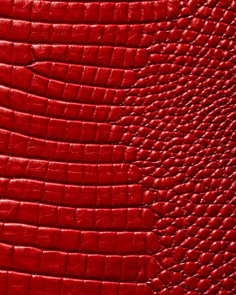 Red Croc Leather Print Notebook: for Notes, Journaling, and Writing