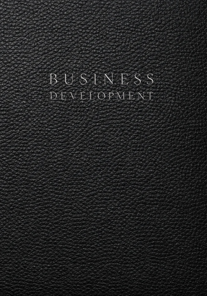 Business Development Planner, Workbook and Notebook: A Structured Organizer for Ideas, Branding, Strategy, Marketing, Operations and Growth Planning