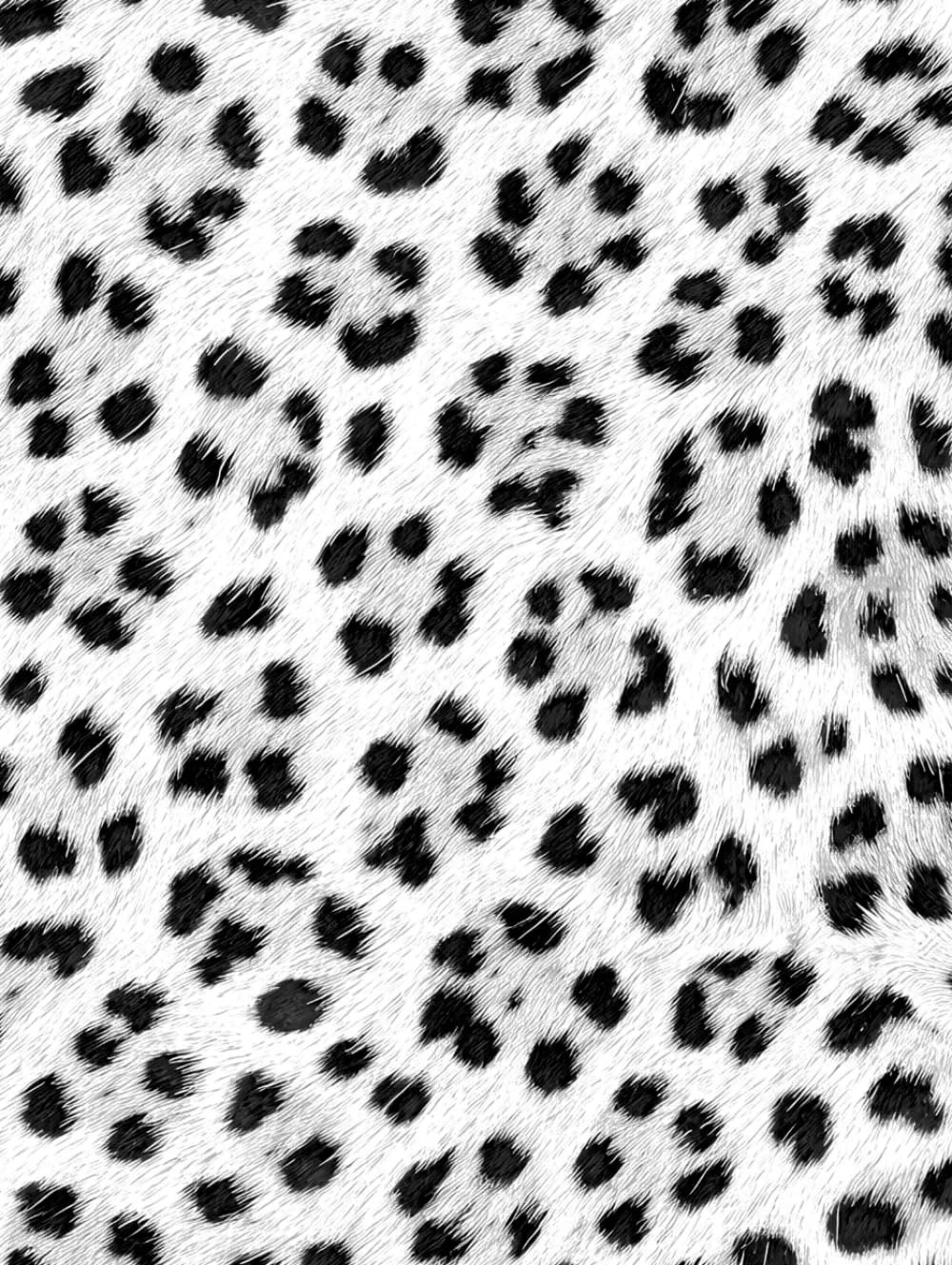 Luxx Notebook: for Notes, Journaling, and Writing (Black & White Leopard Print Edition)