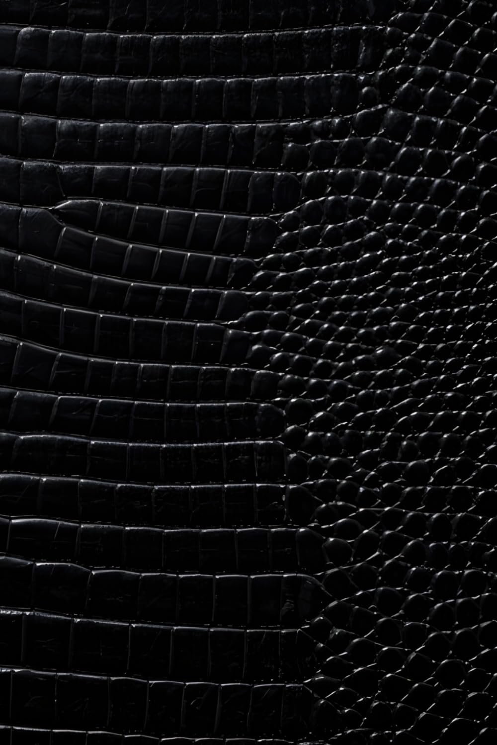 Luxx Sketchbook: for Drawing and Creative Expression (Black Croc Leather Print Edition)