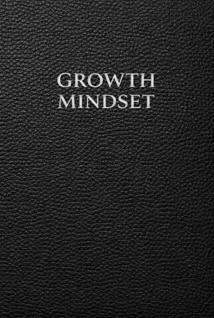 Growth Mindset Journal and Workbook: A Guided System for Self Awareness, Behavioral Change, and Personal Growth