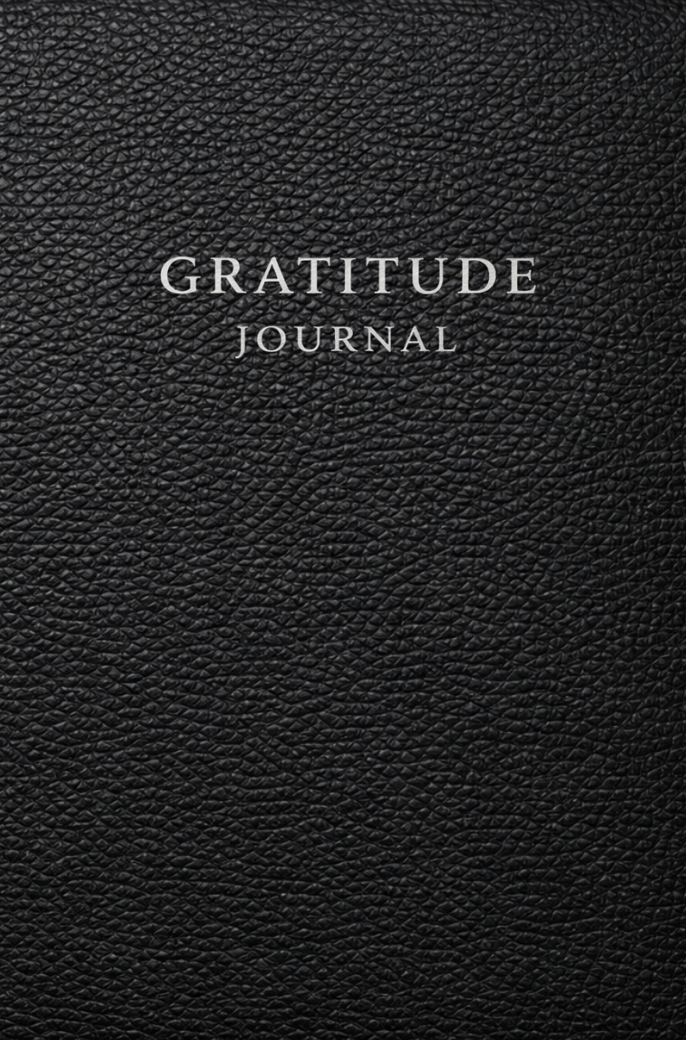 Gratitude Journal & Workbook: A Guided System for Positive Focus Perspective Shifting & Daily Awareness