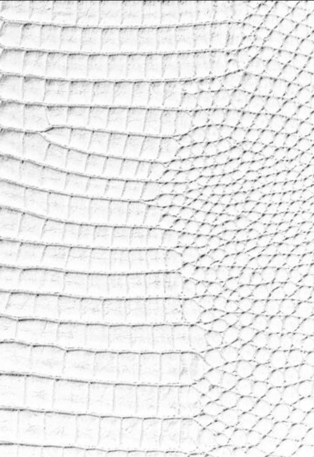 White Croc Leather Print Sketchbook: for Drawing & Creative Expression