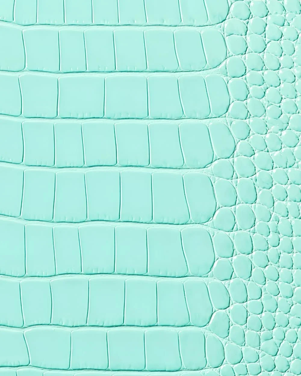 Light Turquoise Croc Leather Print Notebook: for Notes, Journaling, and Writing
