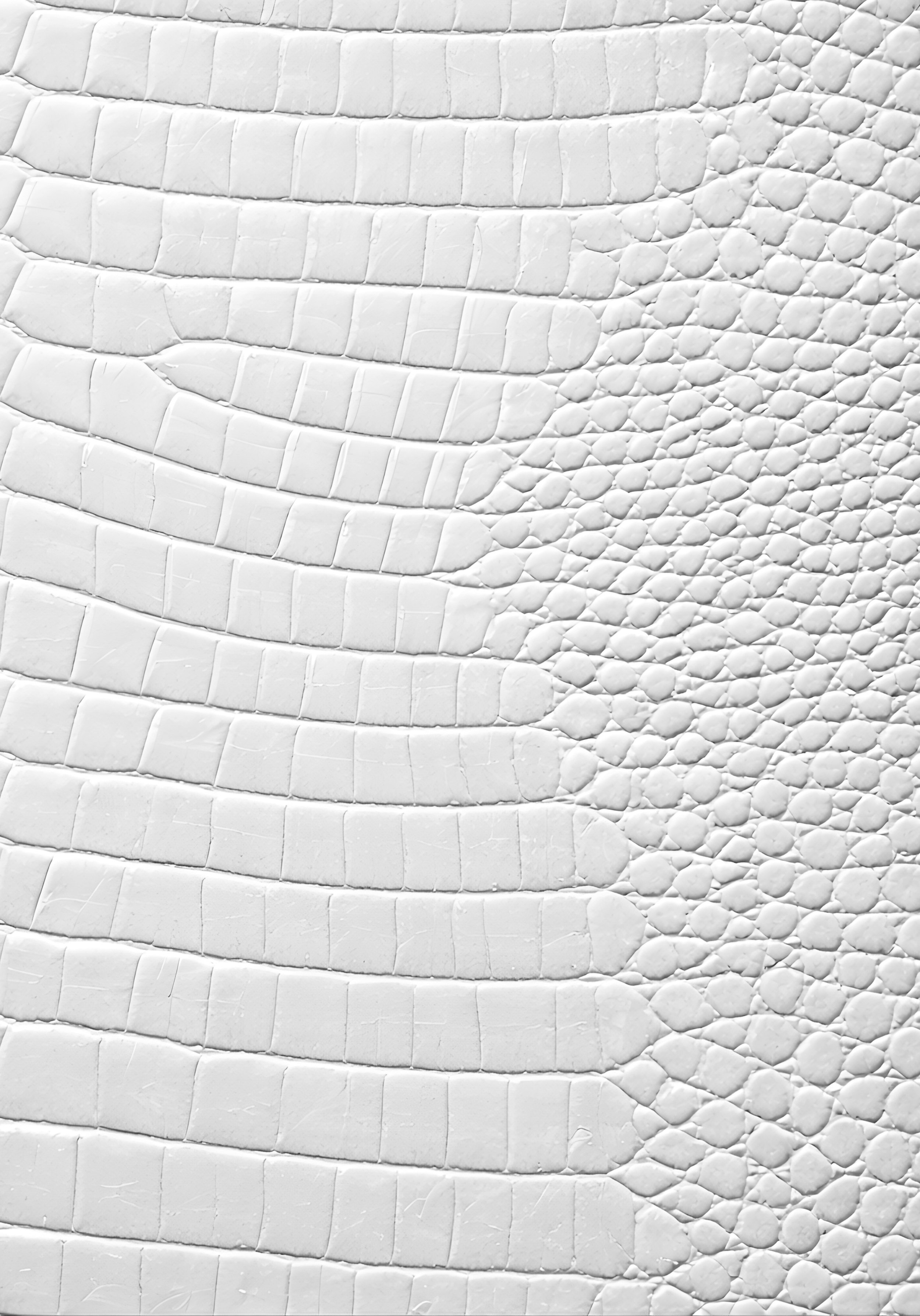 White Croc Leather Print Notebook: for Notes, Journaling, & Writing