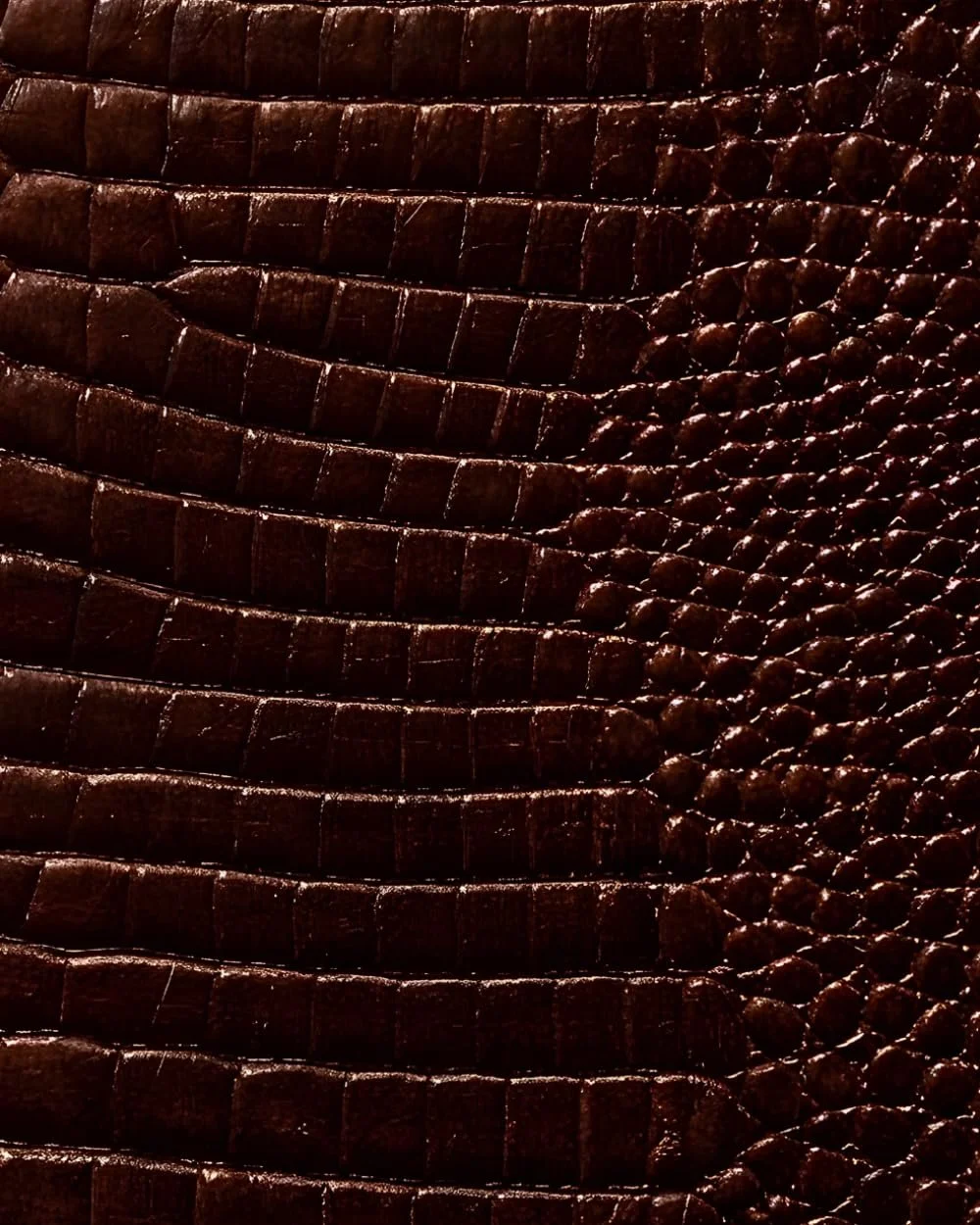Espresso Croc Leather Print Notebook: for Notes, Journaling, and Writing
