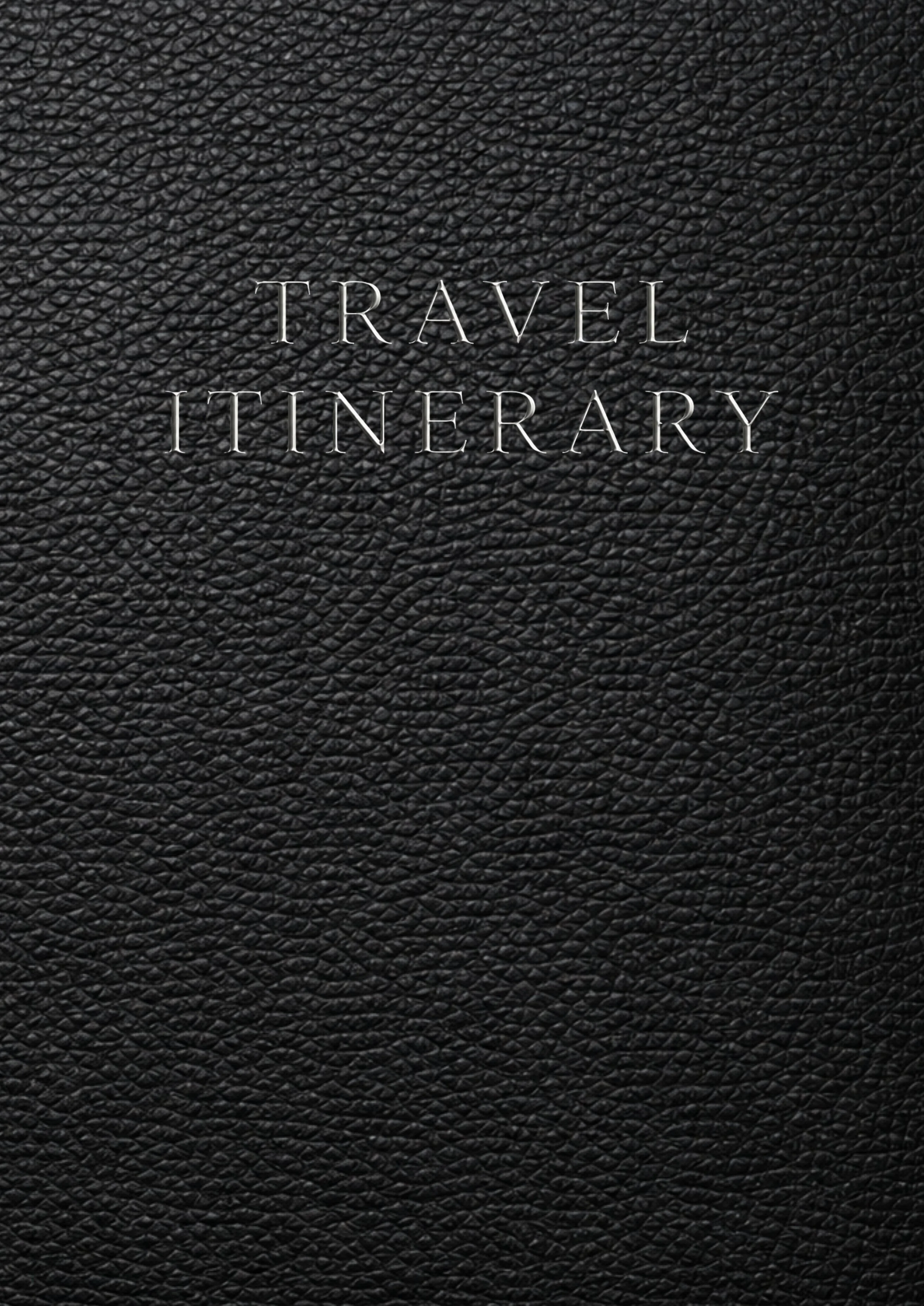 Travel Itinerary: A Daily Planner for Activities, Transportation, Expenses, Reservations and Trip Planning
