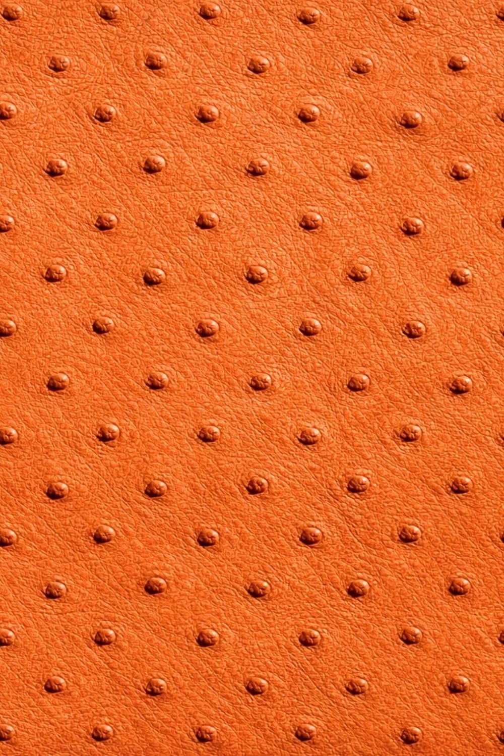 Luxx Notebook: for Notes, Journaling, and Writing (Orange Ostrich Leather Print Edition)
