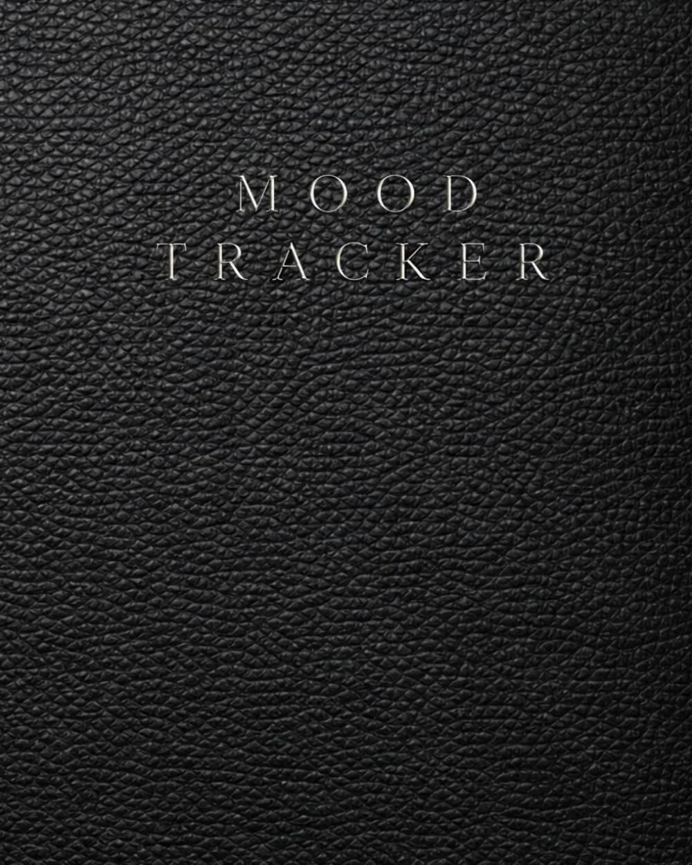 Mood Tracker: A Daily Wellness Log for Emotional Regulation, Self Awareness, Reflection and Mental Wellbeing
