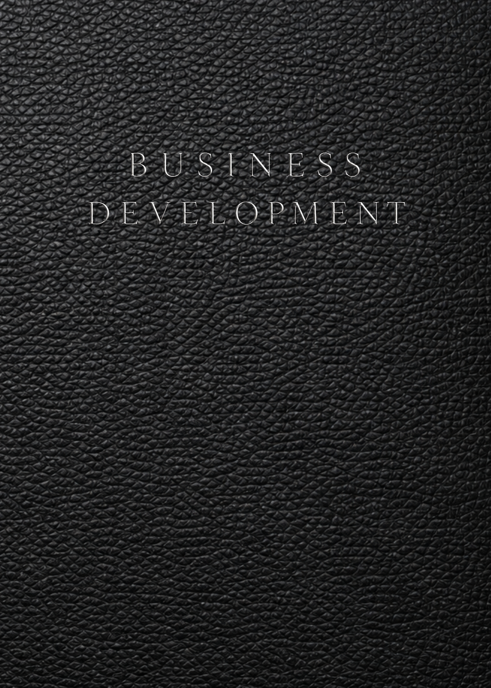 Business Development Planner, Workbook and Notebook: A Structured Organizer for Ideas, Branding, Strategy, Marketing, Operations and Growth Planning