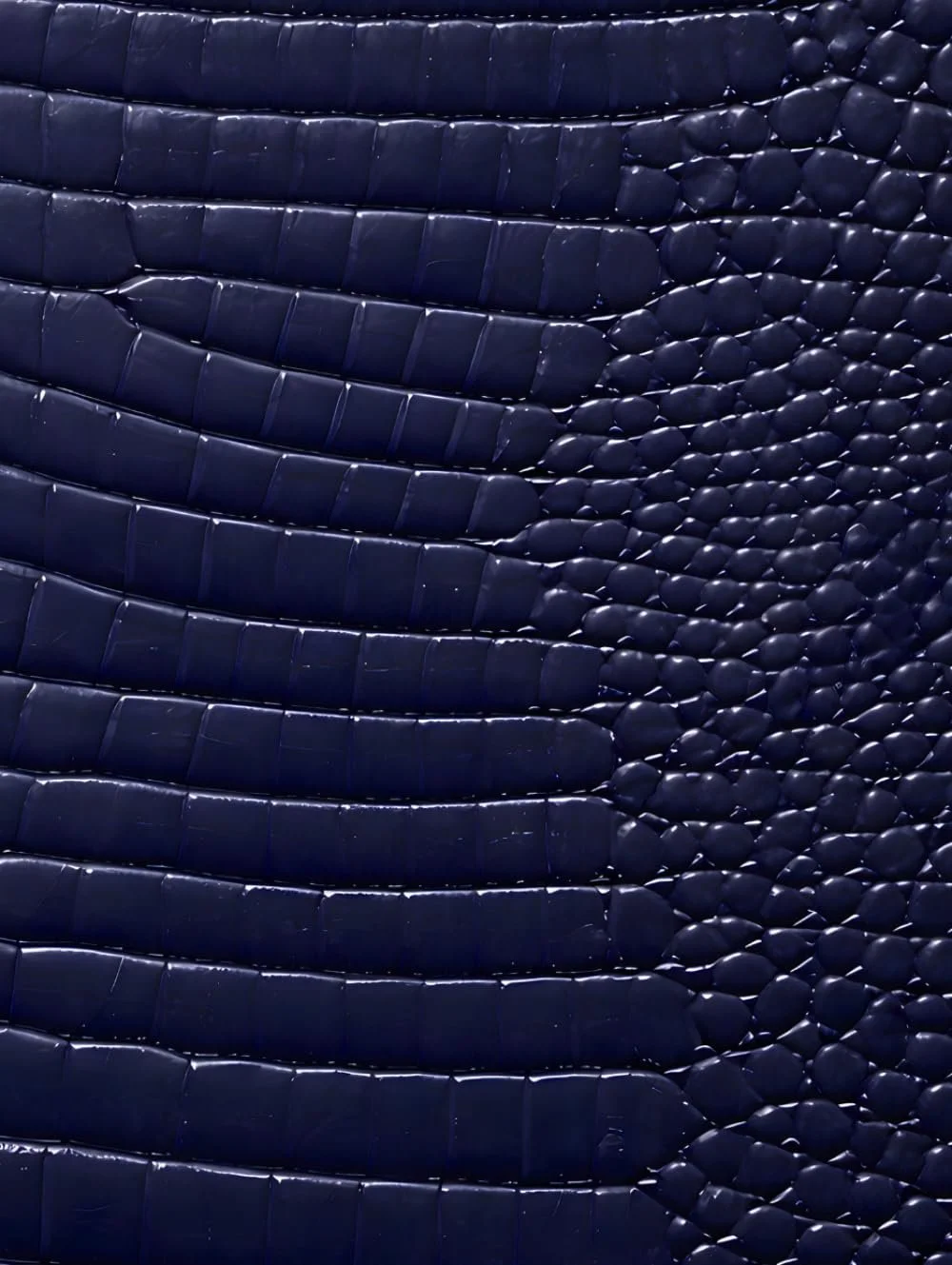 Luxx Notebook: for Notes, Journaling, and Writing (Navy Croc Edition)
