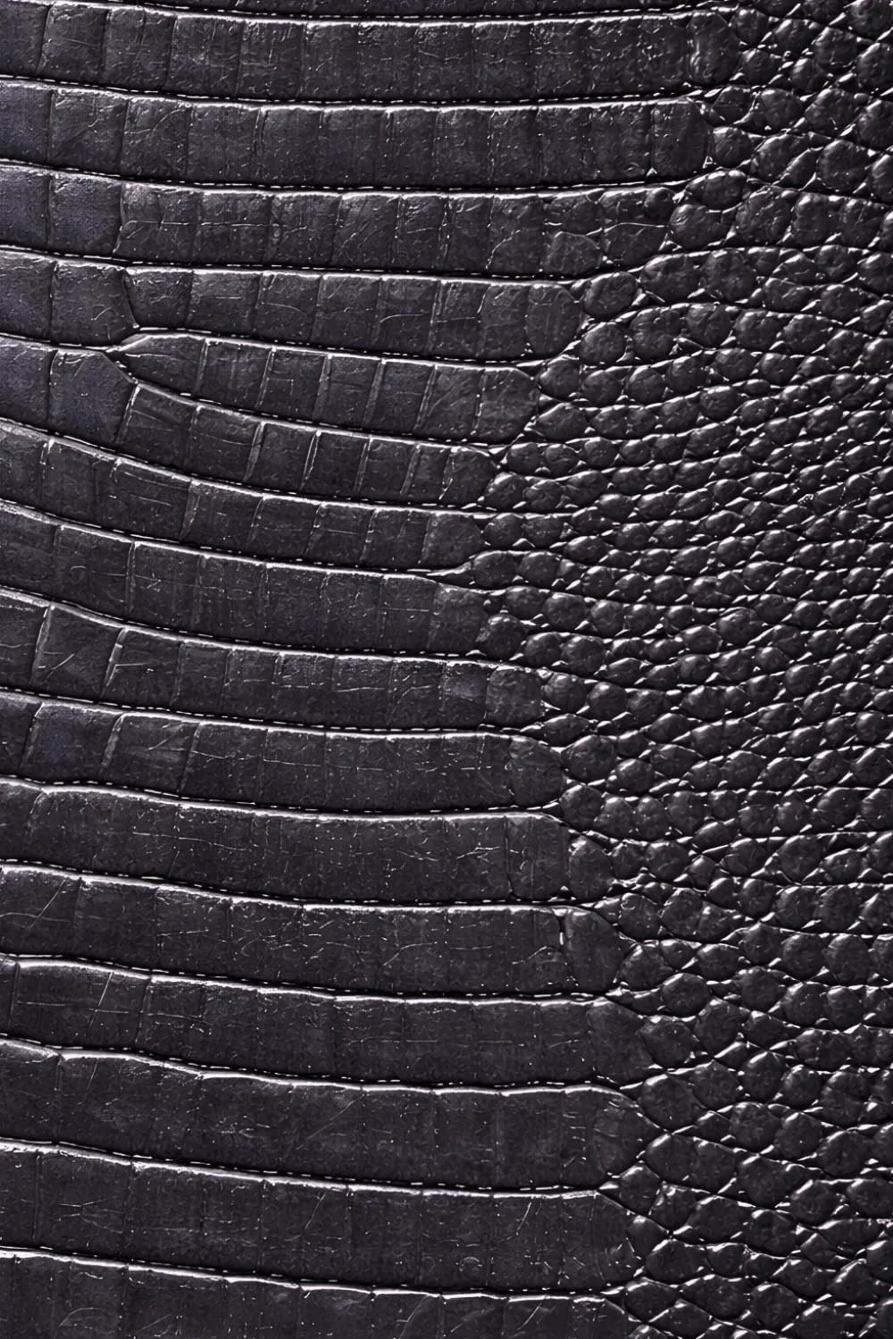 Luxx Notebook: for Notes, Journaling, and Writing (Graphite Croc Edition)