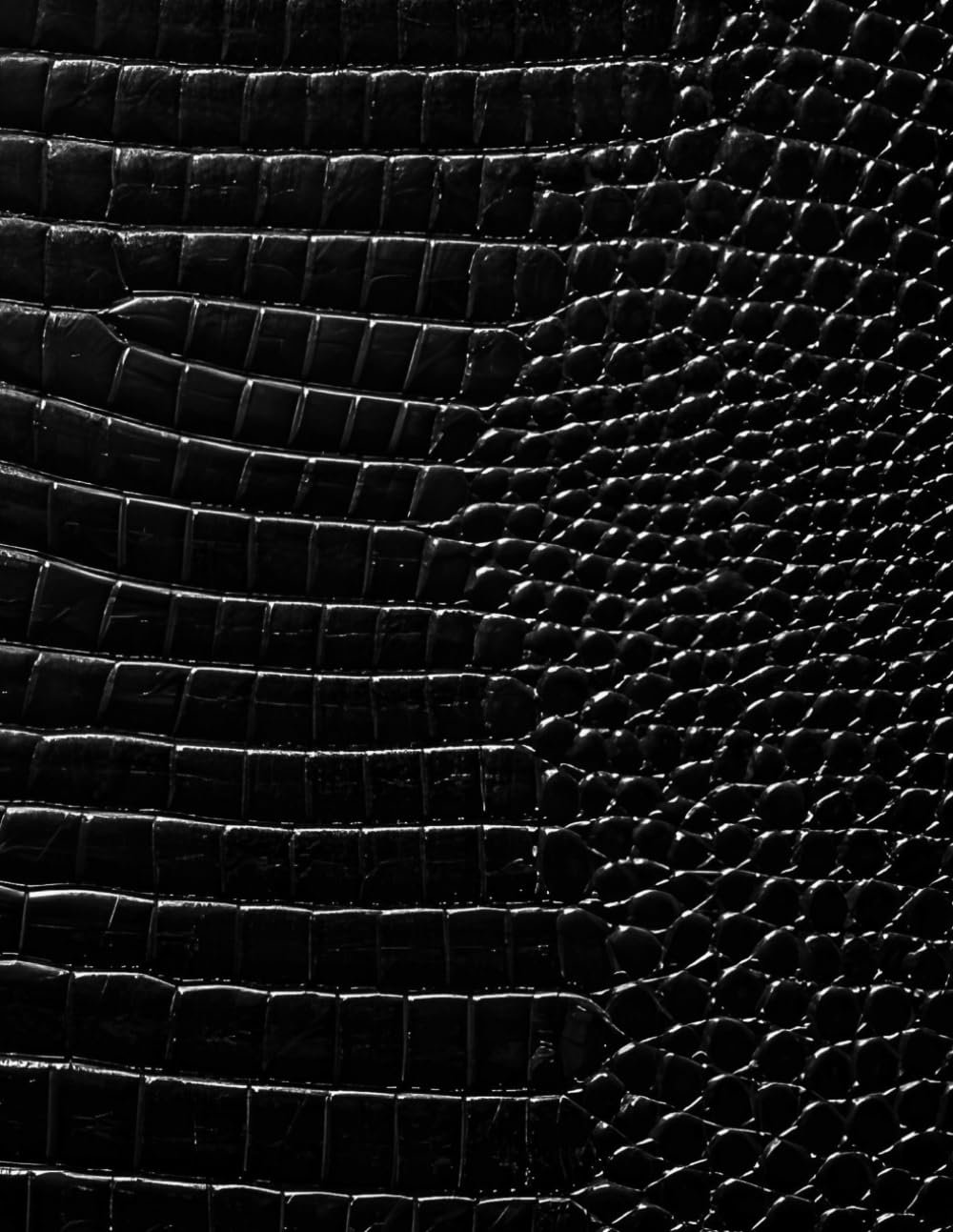 Black Croc Leather Print Sketchbook: for Drawing and Creative Expression