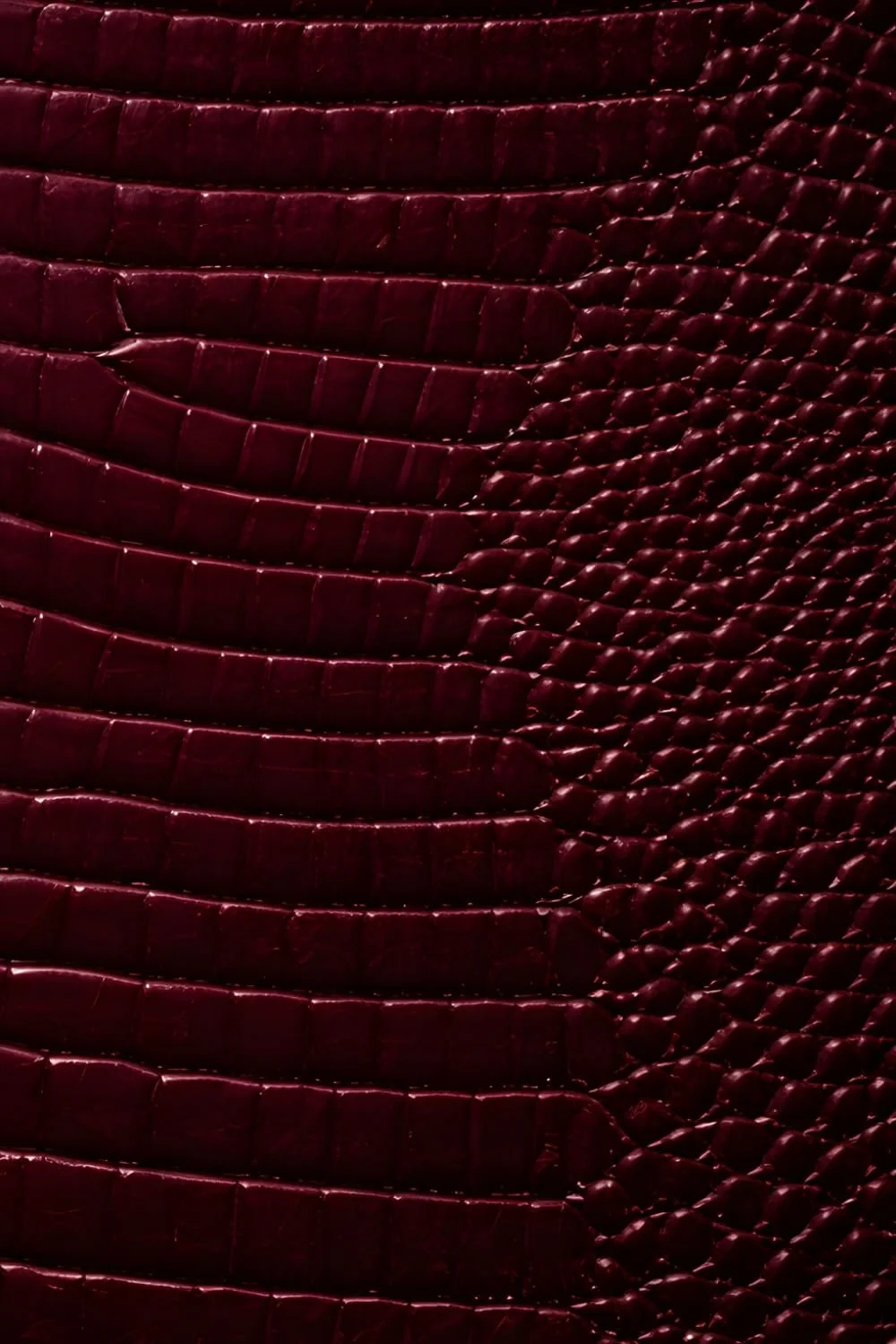 Luxx Notebook: for Notes, Journaling, and Writing (Black Cherry Croc Edition)