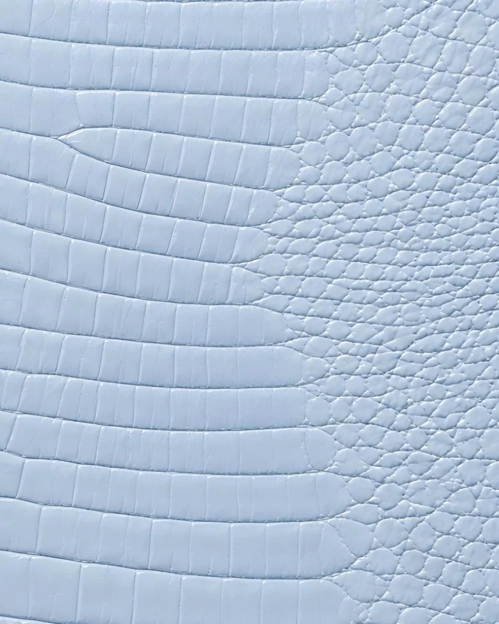 Baby Blue Croc Leather Print Notebook: for Notes, Journaling, and Writing